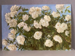 Weiße Rosen, klassische, Blumen, horizontal