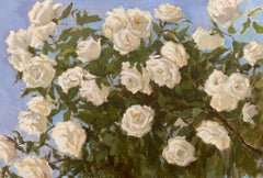 Rosas blancas, klassische, flores, horizontal
