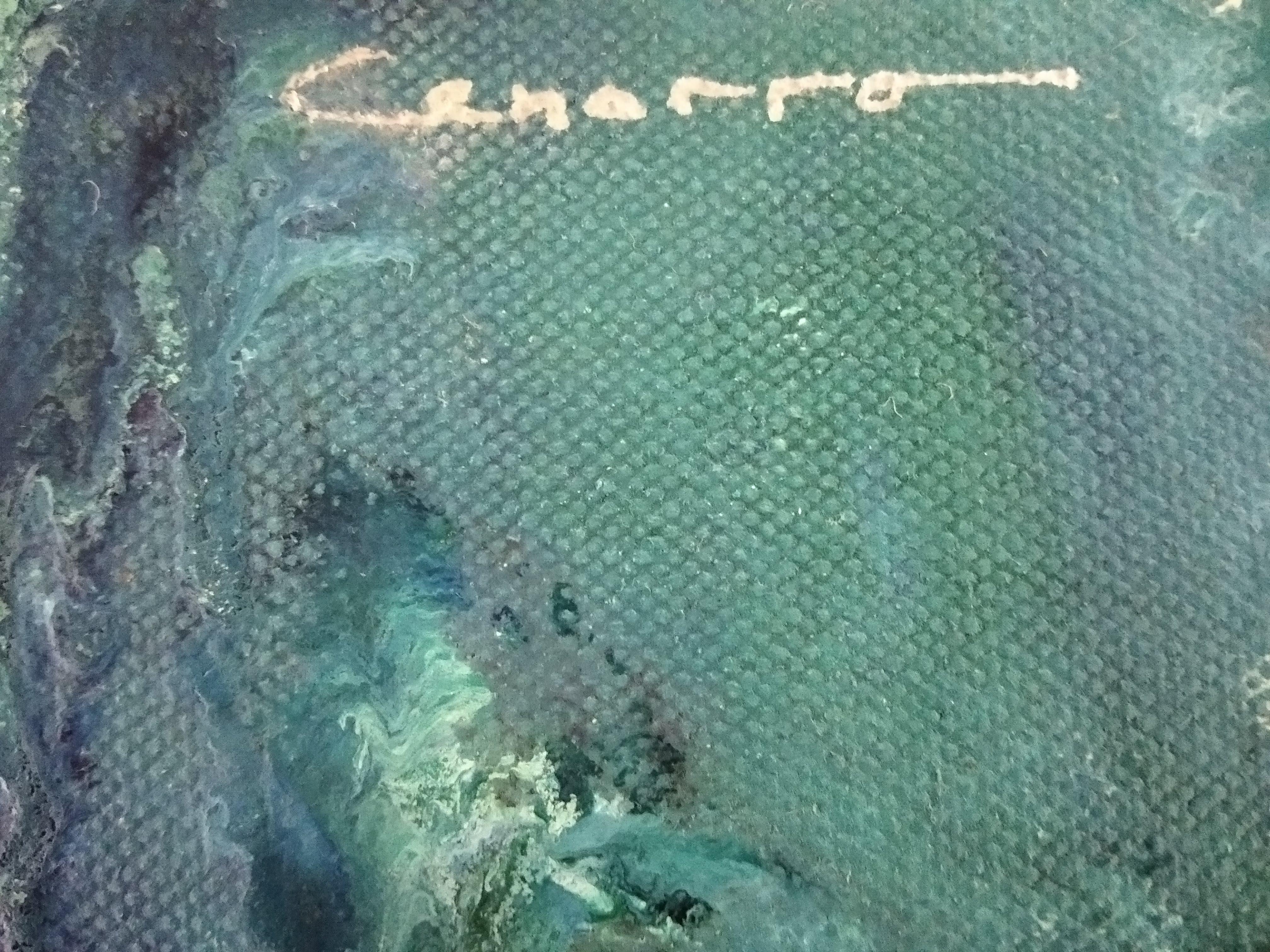 Senza titolo - Painting di Elena Cenarro 