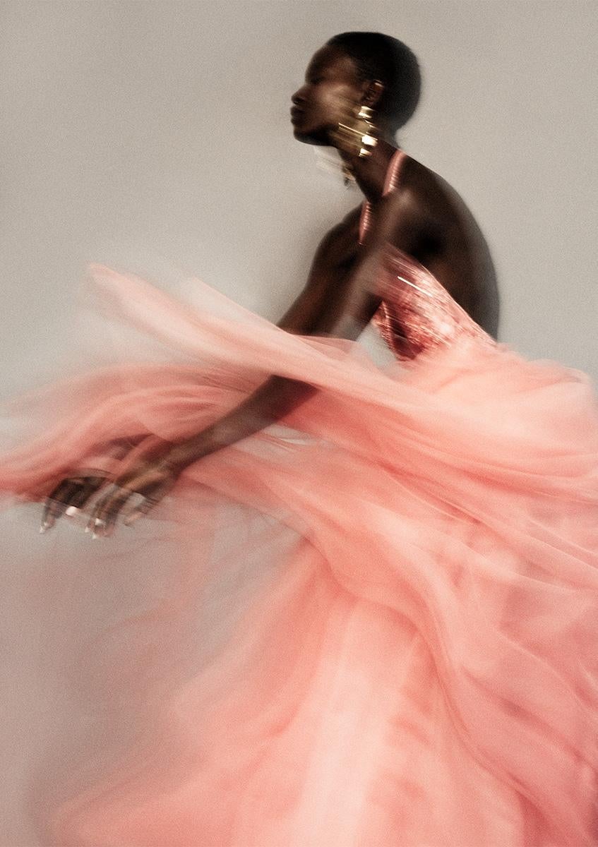 Elena Iv-skaya Figurative Photograph – Fließende Rose