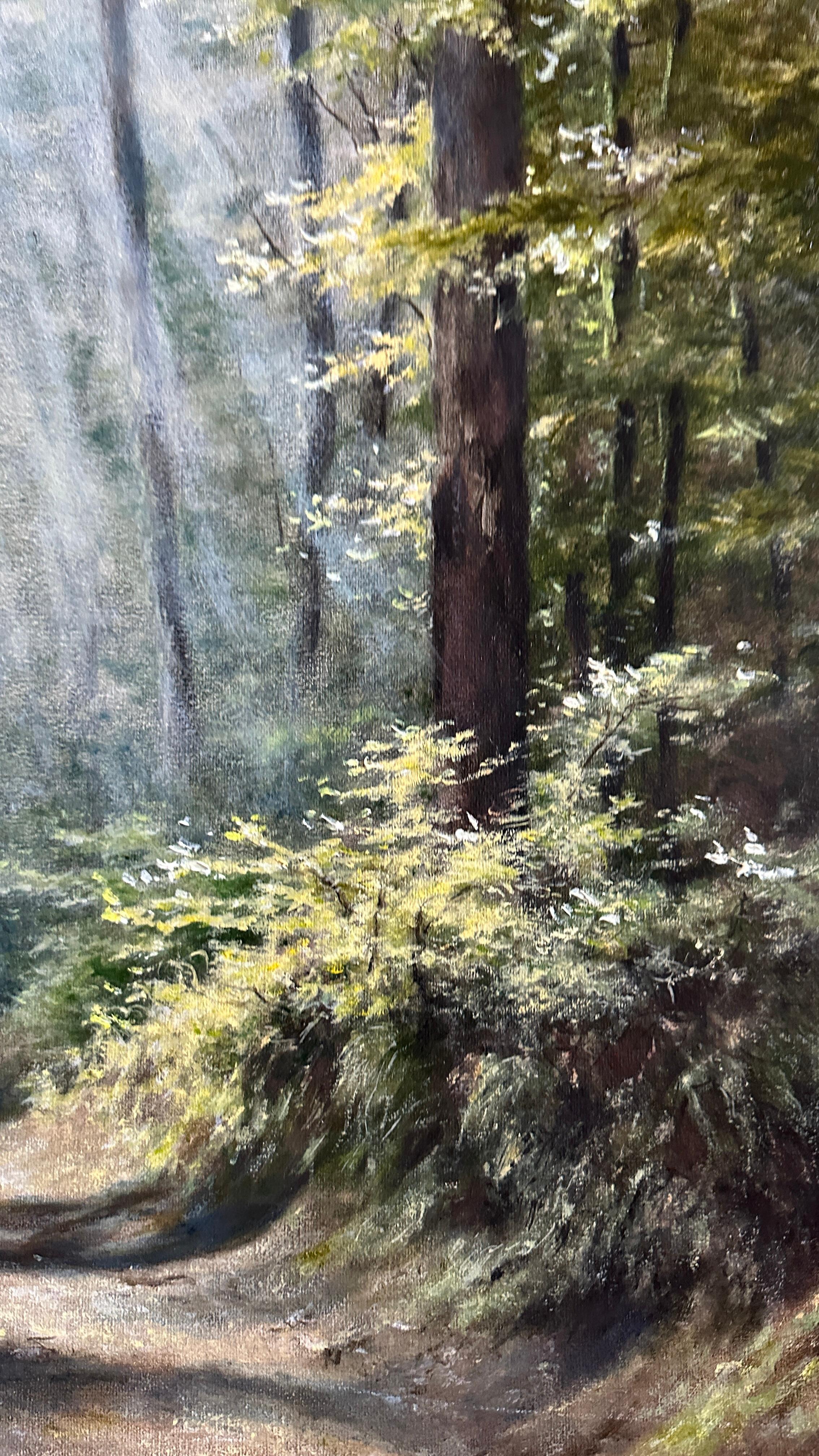 This forest is right across the street from my house.
It is incredibly beautiful and at the same time always different.
I am inspired by the natural forms of nature, the plasticity of the curves of roads and branches, the lines of crowns and clouds,