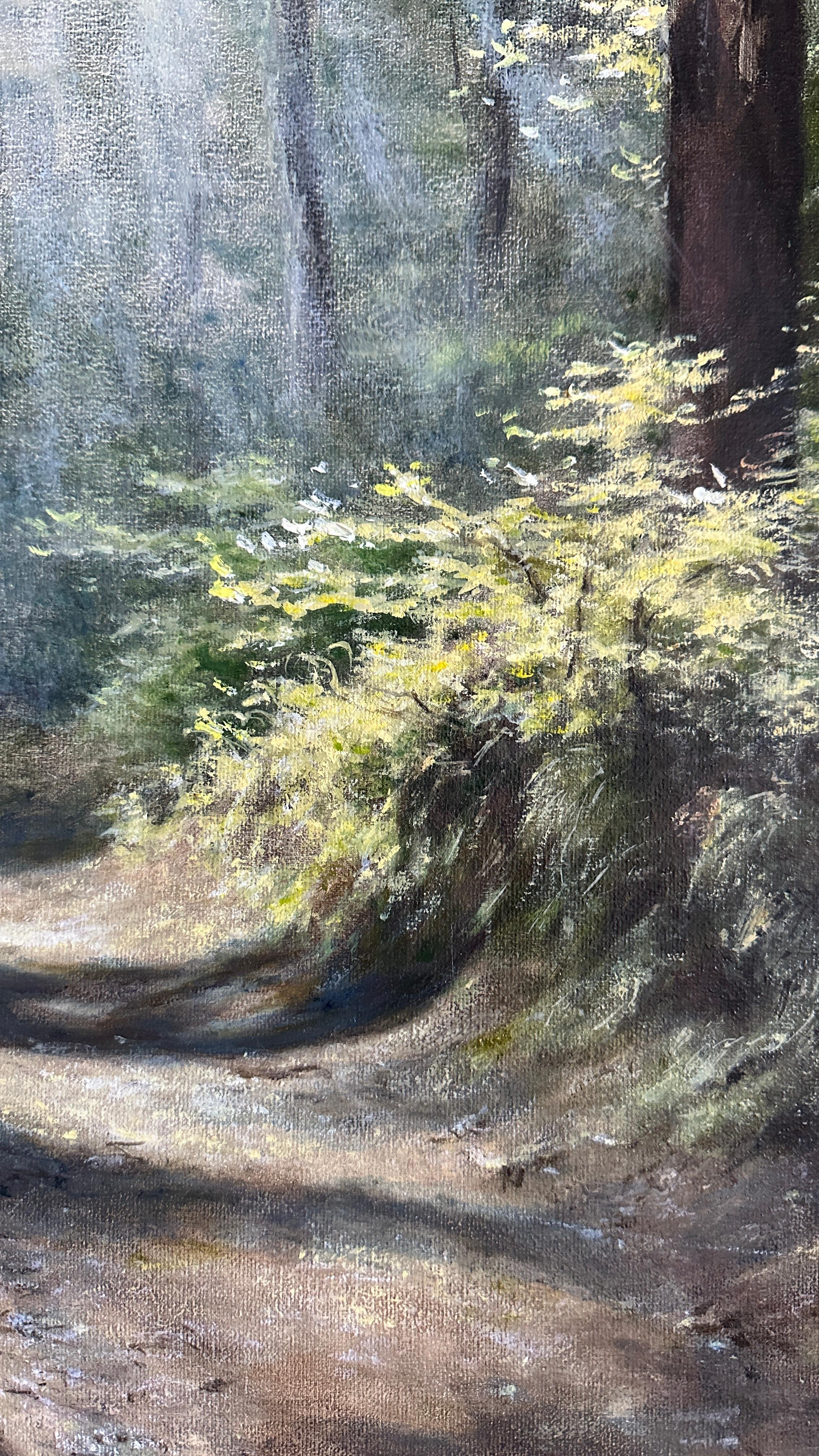 Bachata Of Shadows For Sale 1