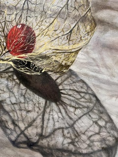 Phisalis