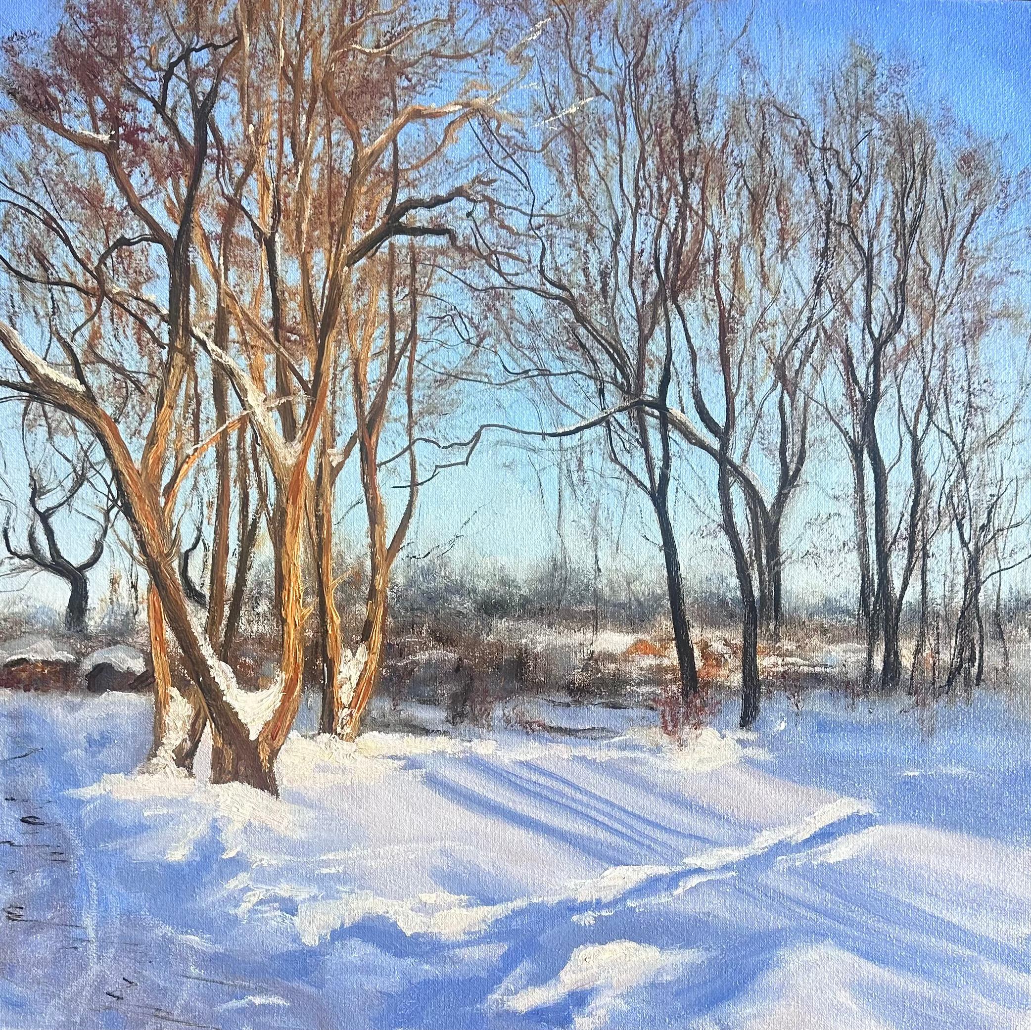 Radomysl. A. Winter Evening