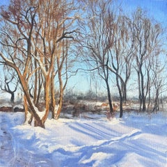 Radomysl. Winterabend