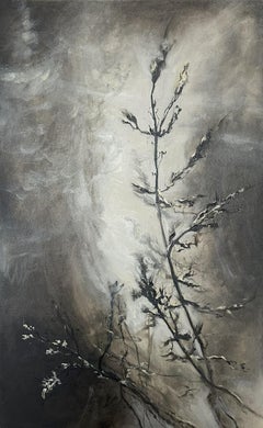 SHADOW OF LIGHT