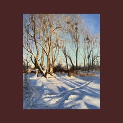 Snowy Landscape near Radomysl Castle