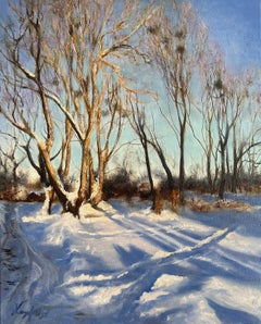 Snowy Landscape near Radomysl Castle