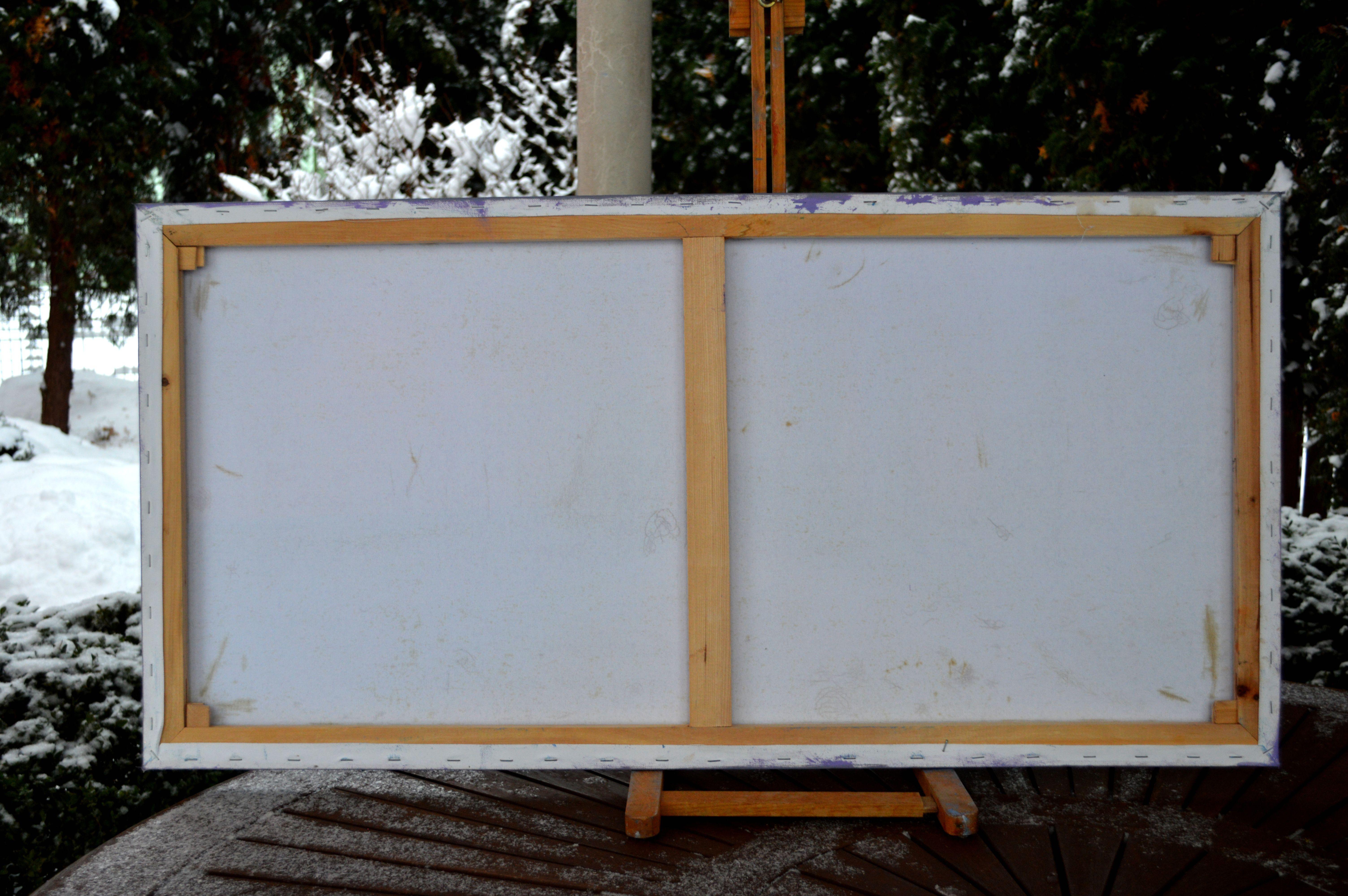 Un prado de hierbas en flor en venta 8