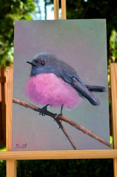 Australian Bullfinch on a branch
