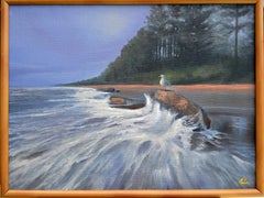 Costa baltica