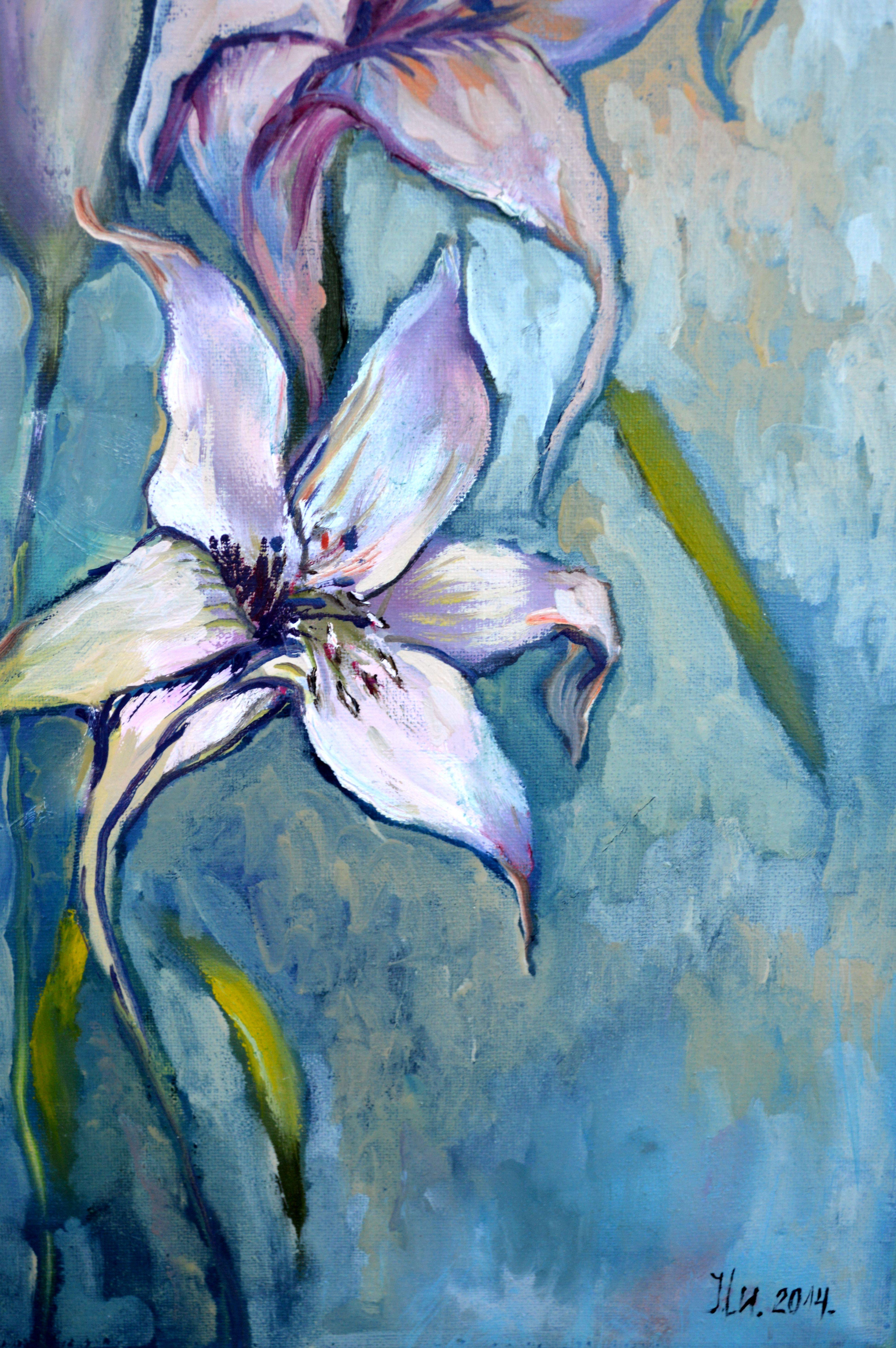 Bellissimi gigli in vendita 5