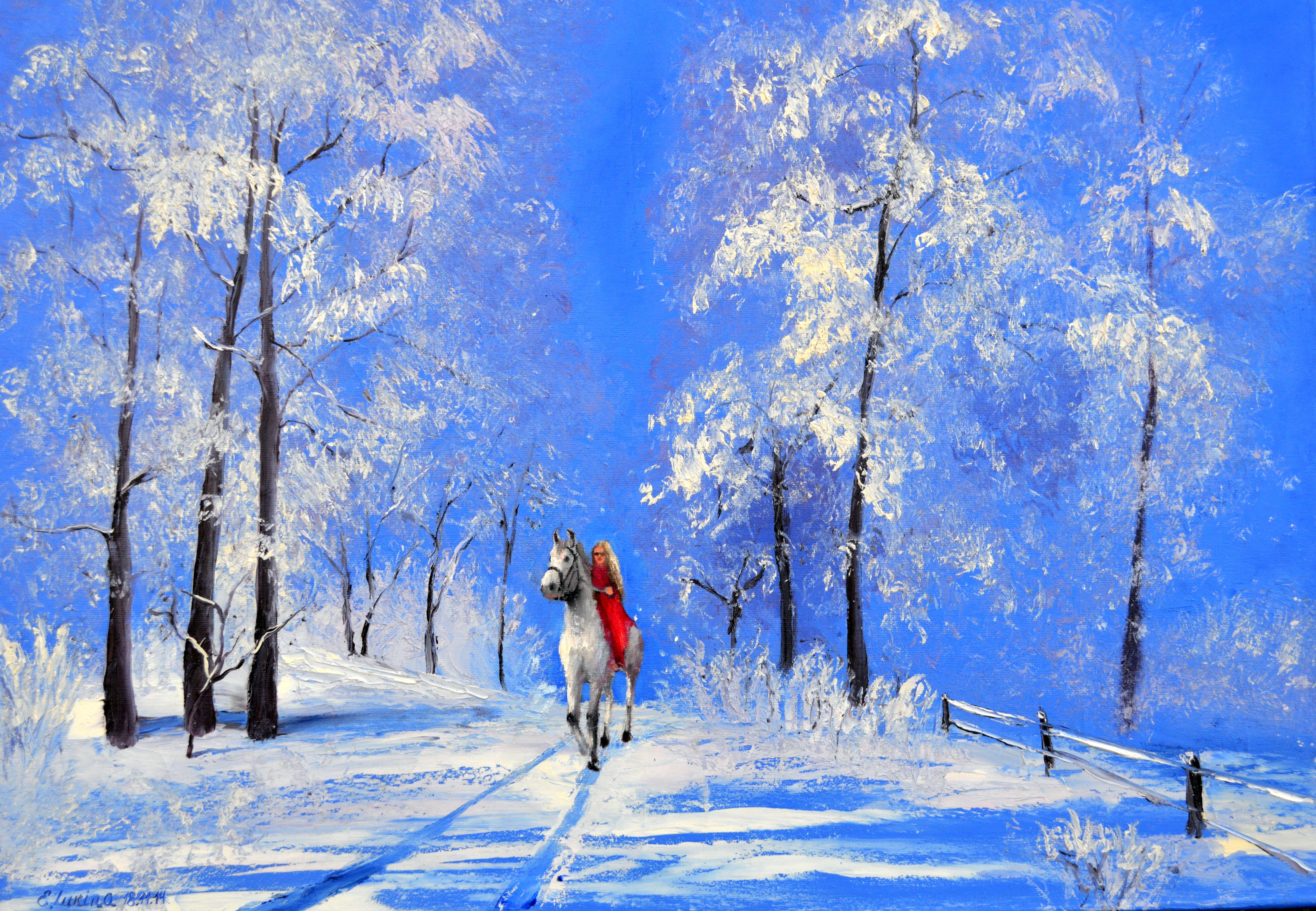 Beautiful White Winter 50X70 For Sale 6