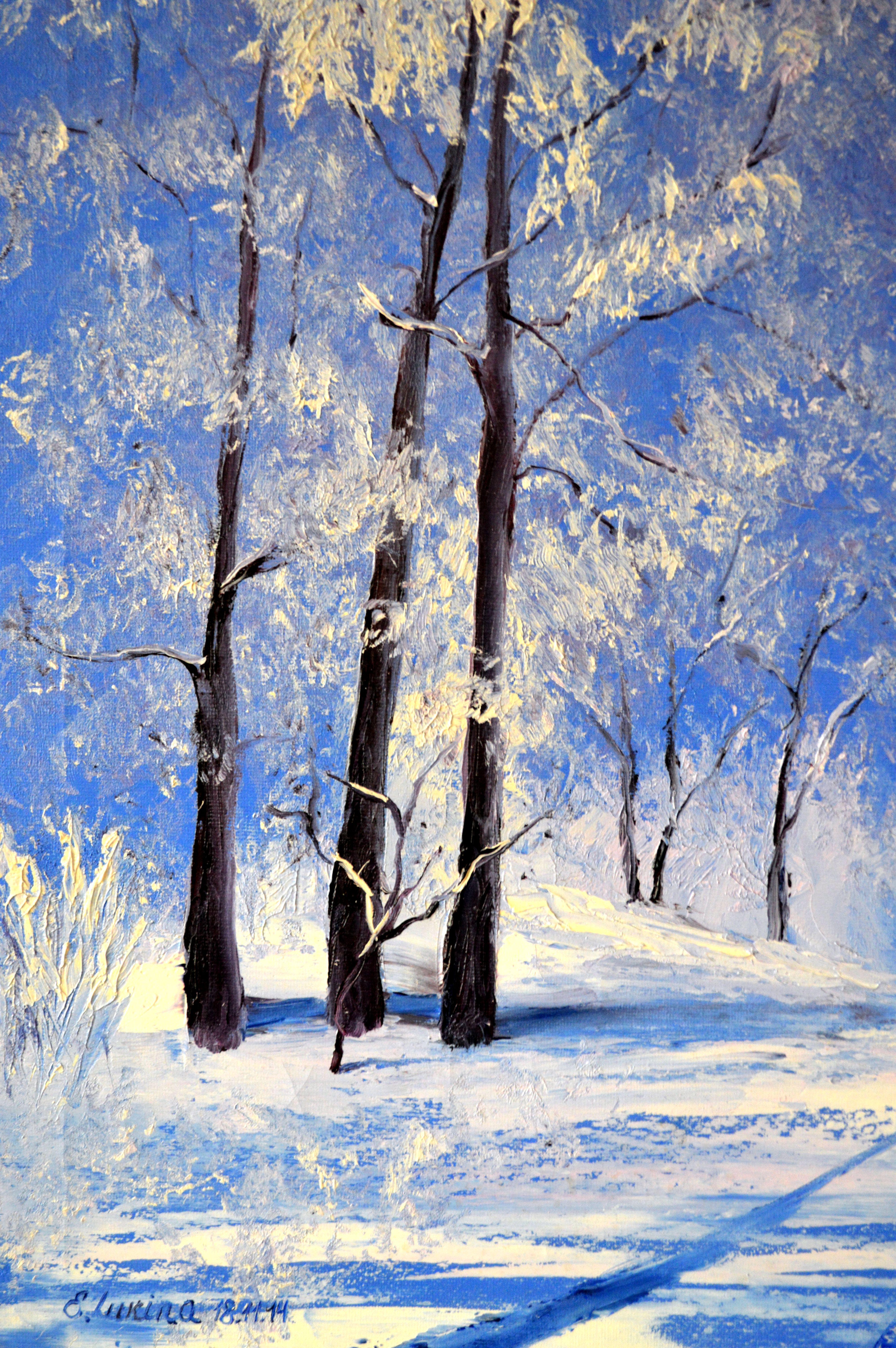 Beautiful White Winter 50X70 For Sale 7