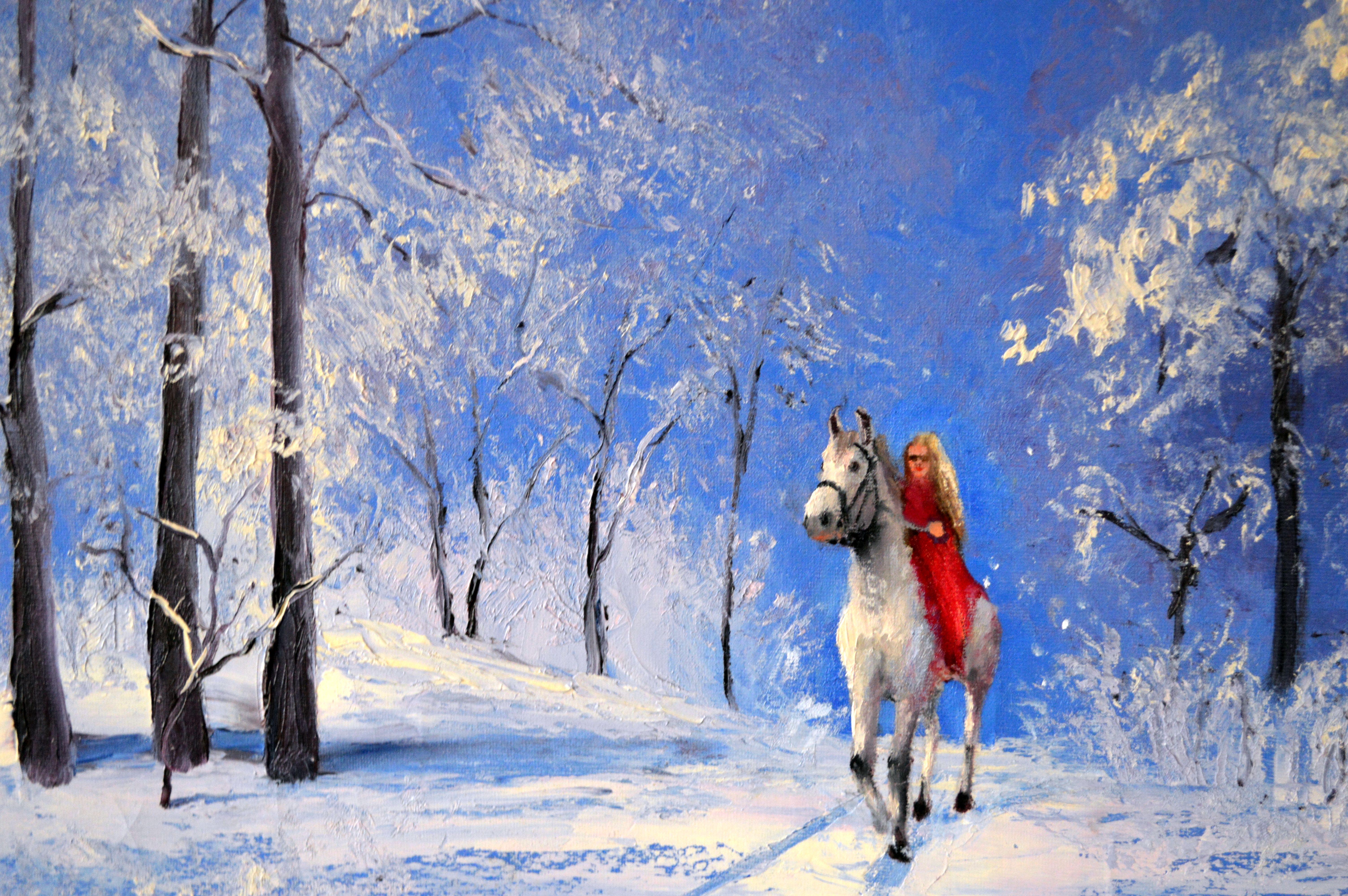 Beautiful White Winter 50X70 For Sale 9