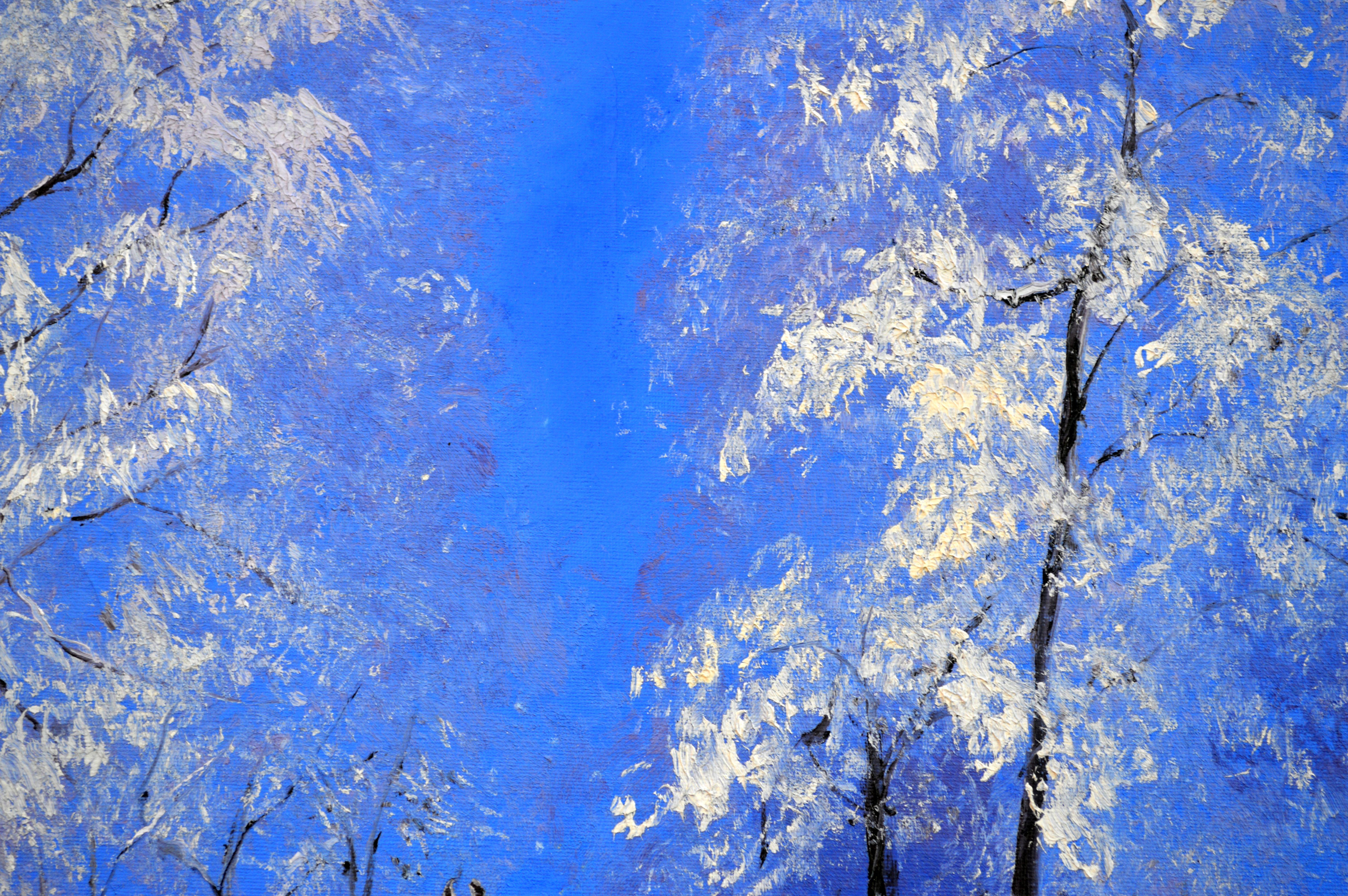 Beautiful White Winter For Sale 3