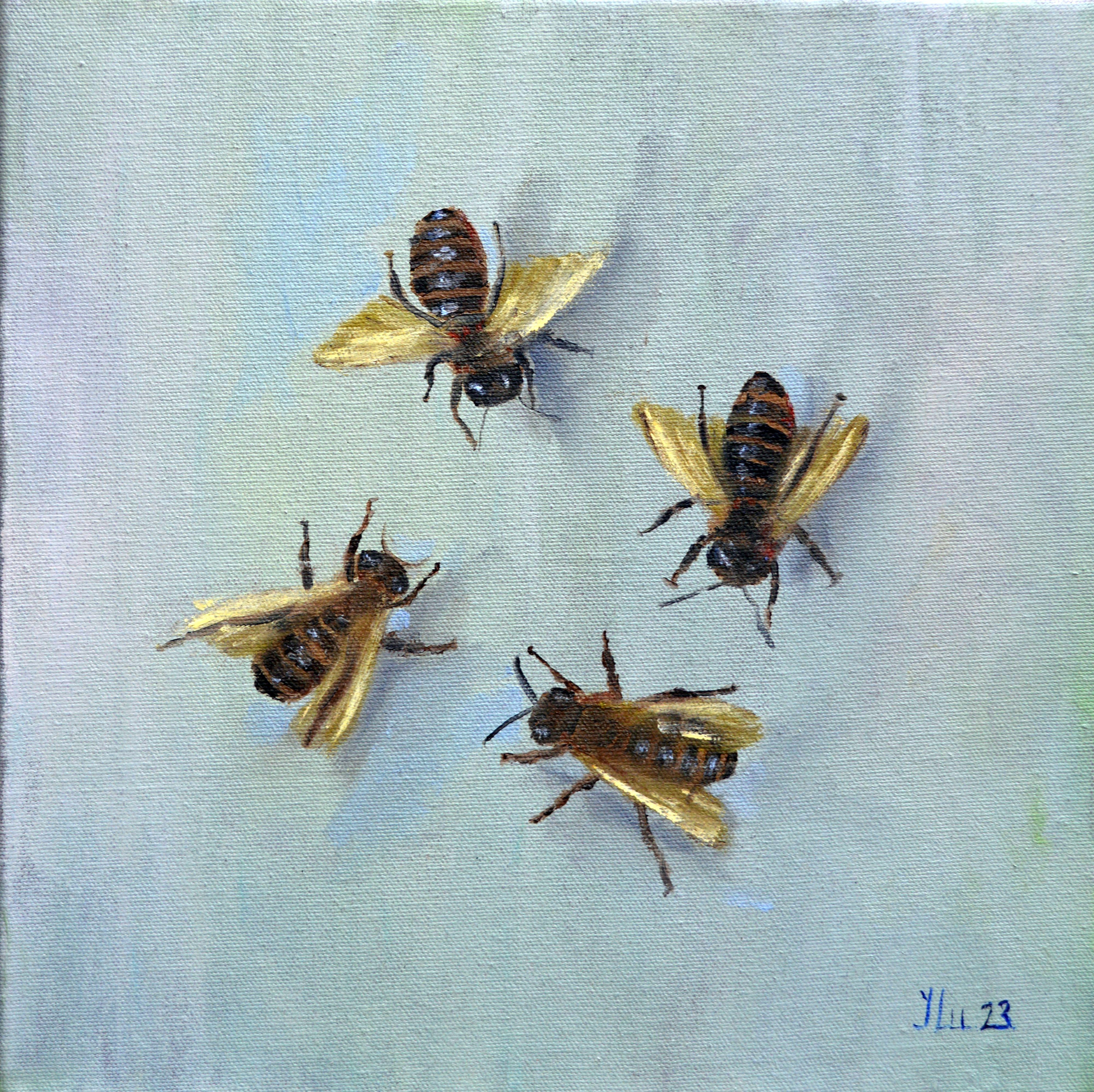 Abejas