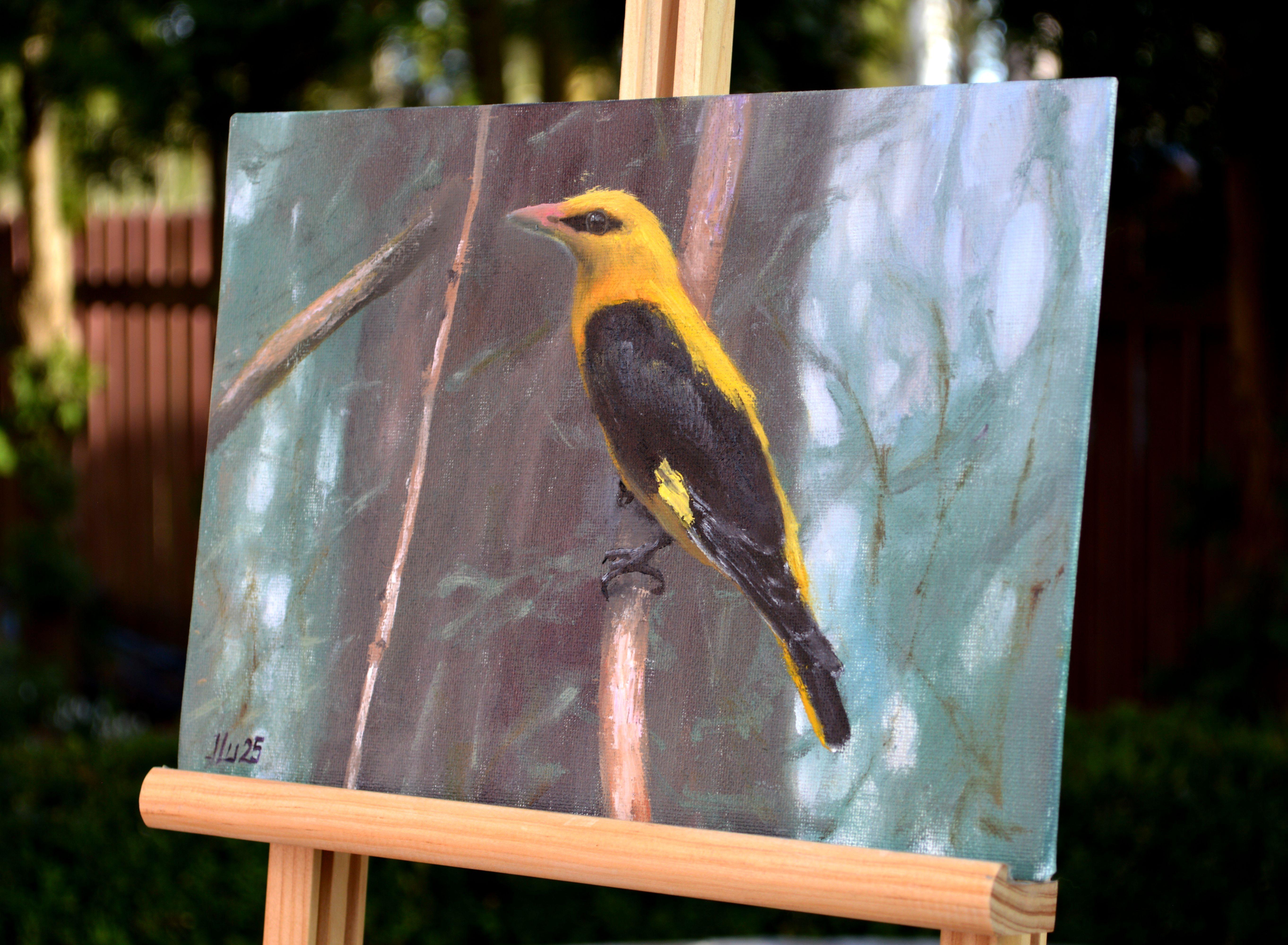 Pájaro en el bosque en venta 5