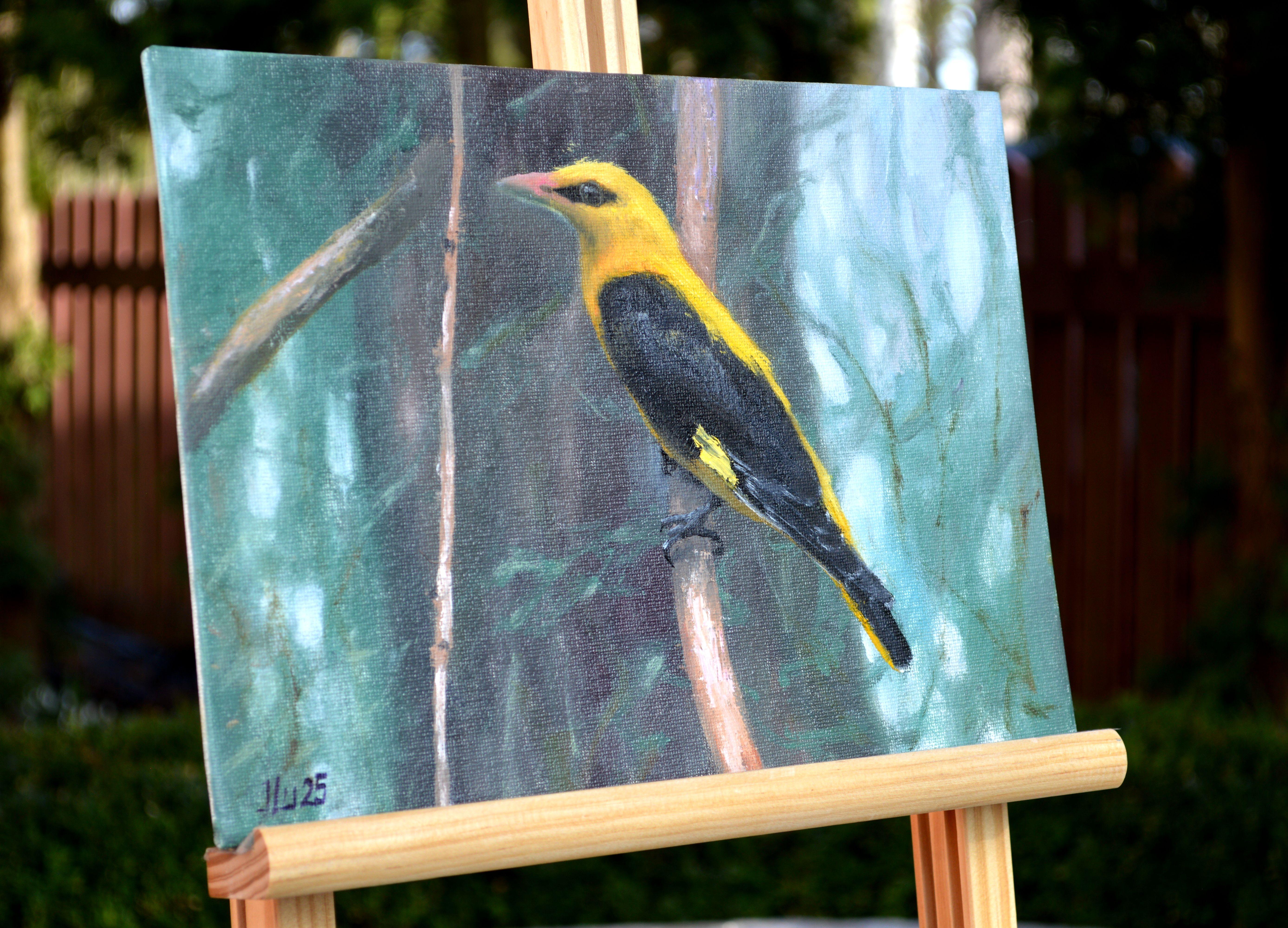 Pájaro en el bosque en venta 6