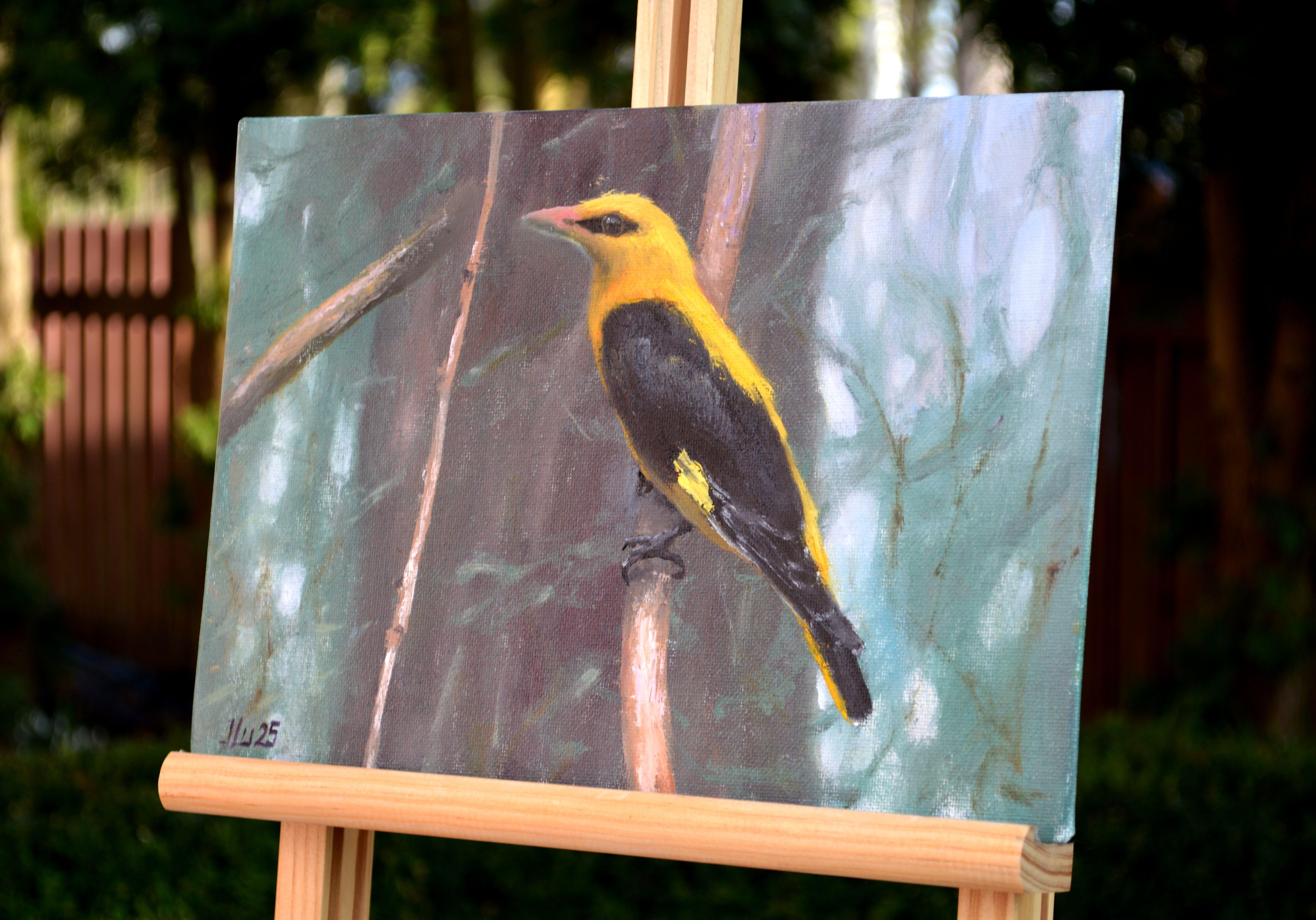 Pájaro en el bosque en venta 7