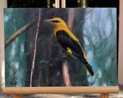 Uccello nella foresta