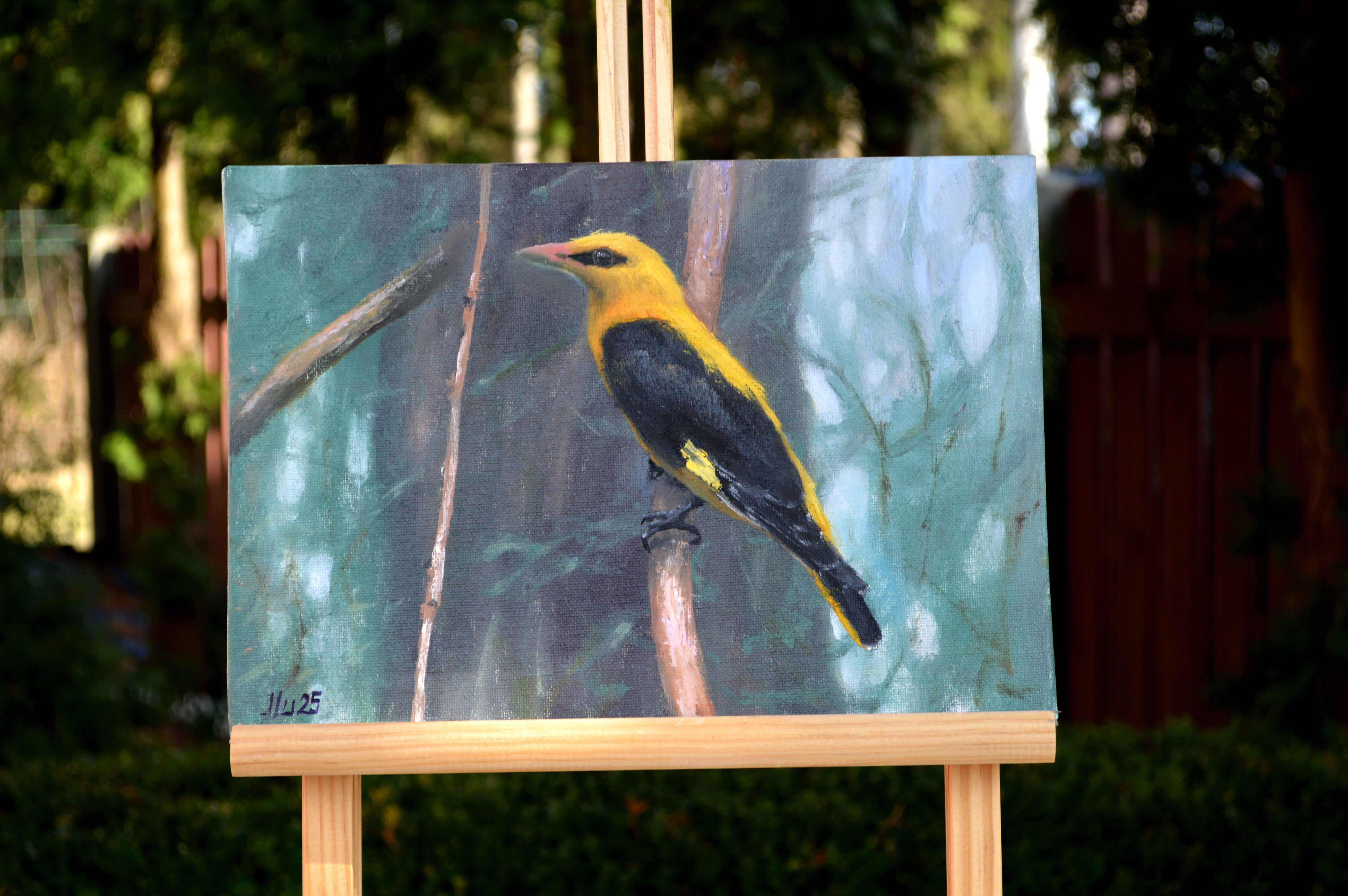Pájaro en el bosque en venta 3