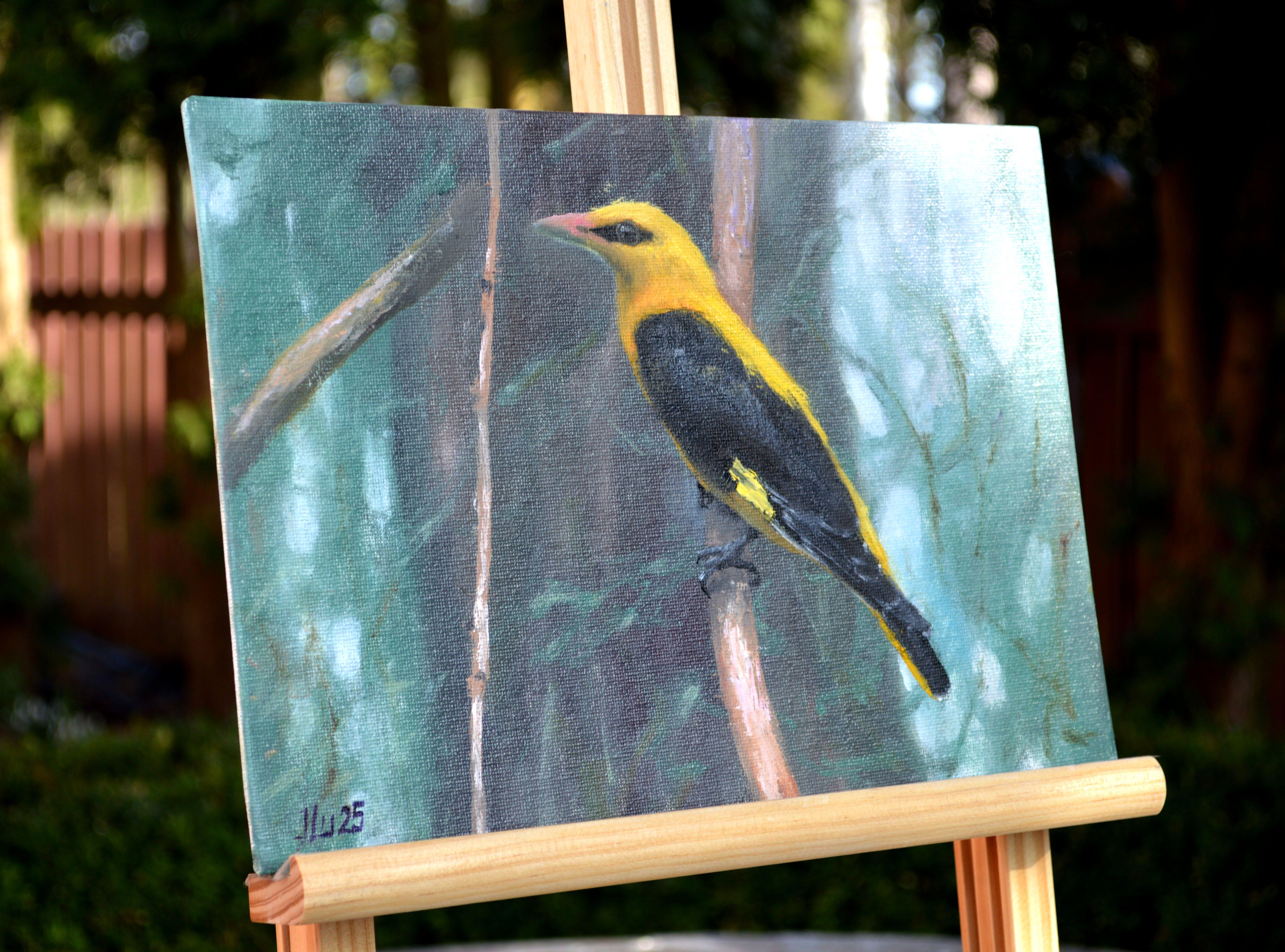 Pájaro en el bosque en venta 4