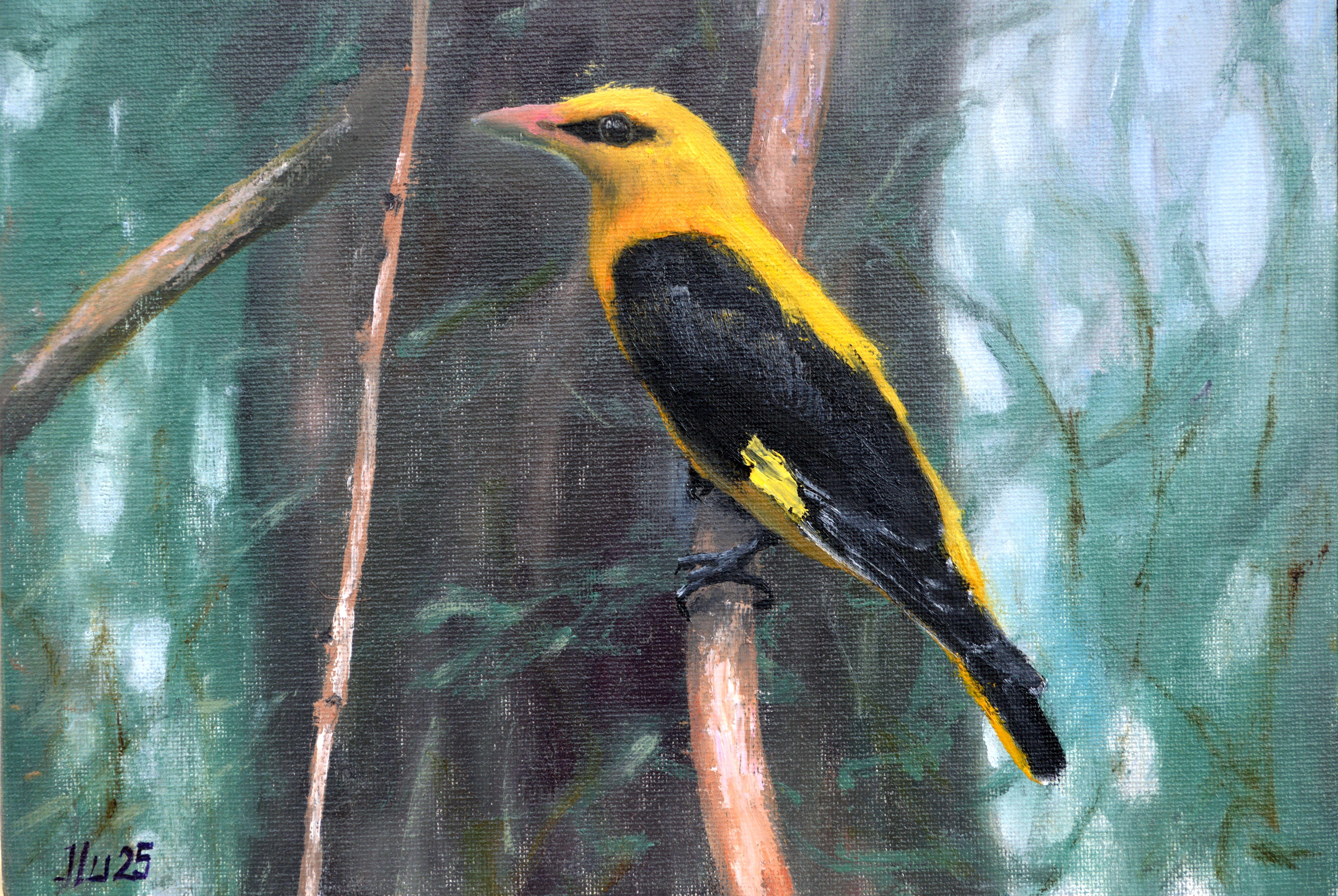 Oiseau dans la forêt