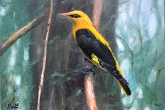 Oiseau dans la forêt