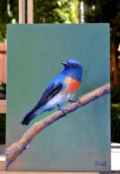 Branch su un ramo (Cyornis rubeculoides)