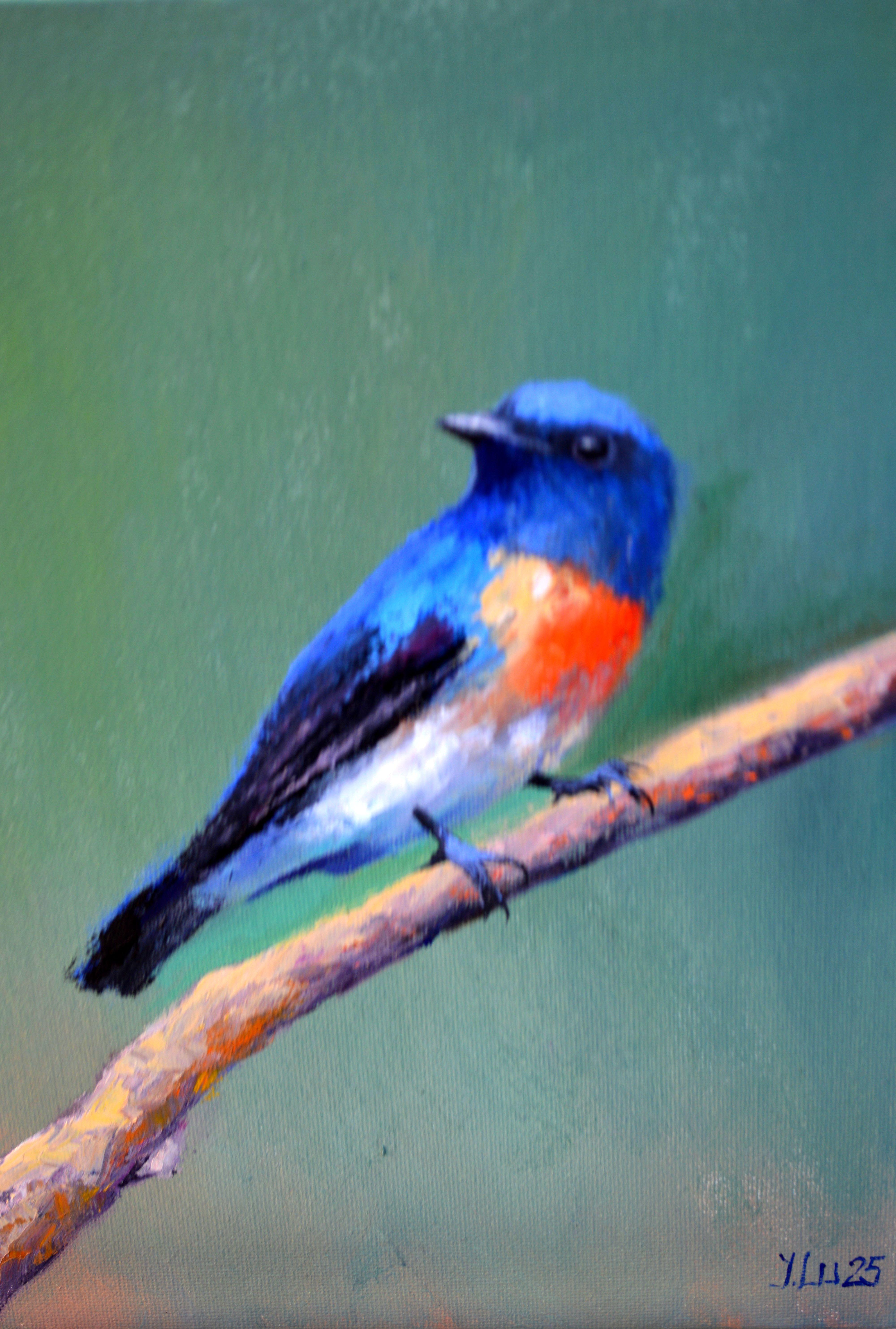 Oiseau sur une Branch (Cyornis rubeculoides)