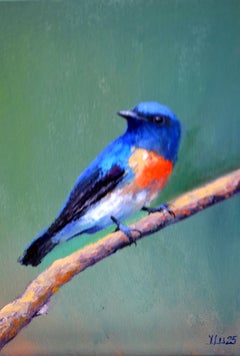 Oiseau sur une Branch (Cyornis rubeculoides)