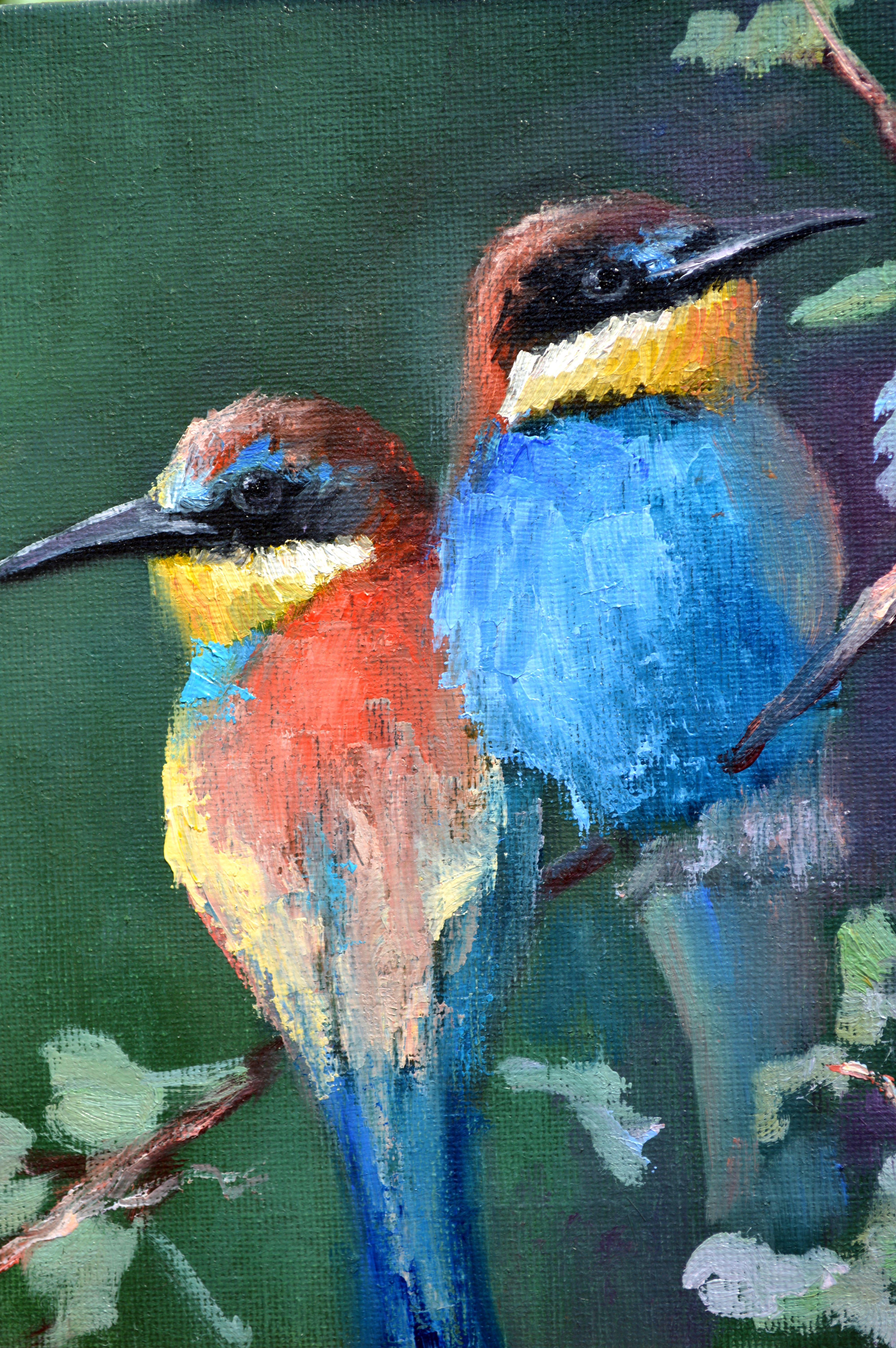 Uccelli 2