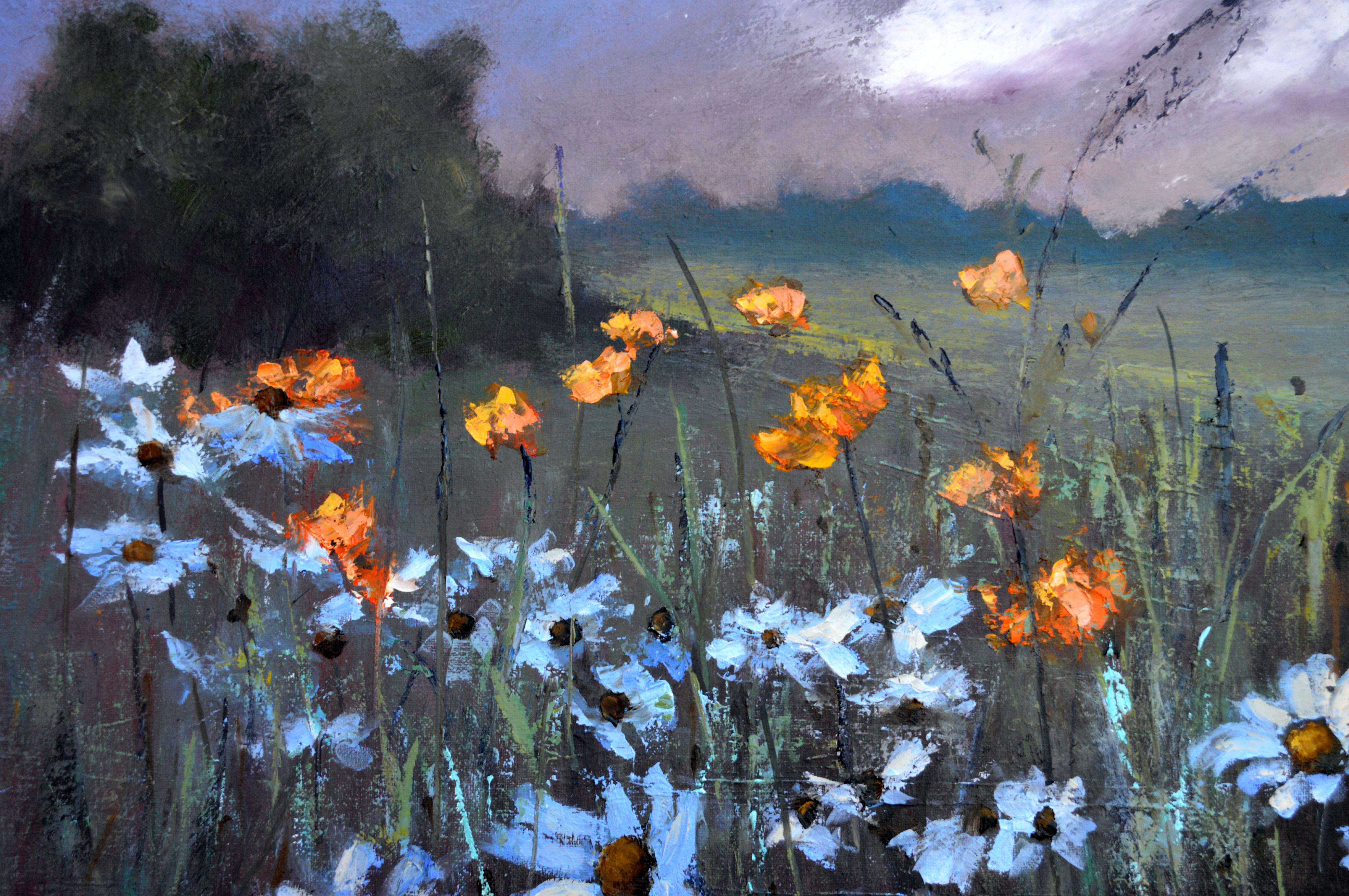 Chamomile  field 50X100 For Sale 7