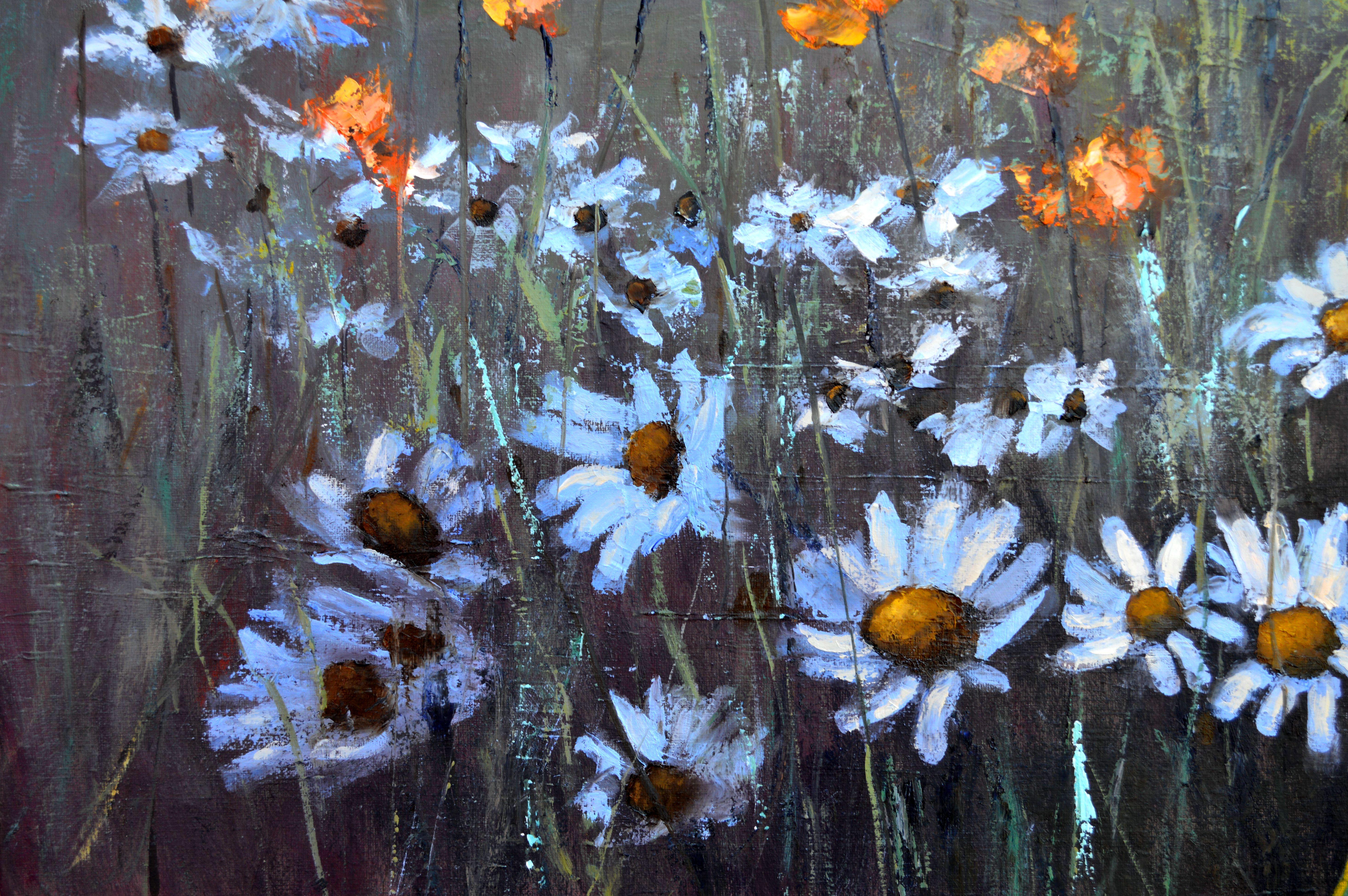 Chamomile  field 50X100 For Sale 8