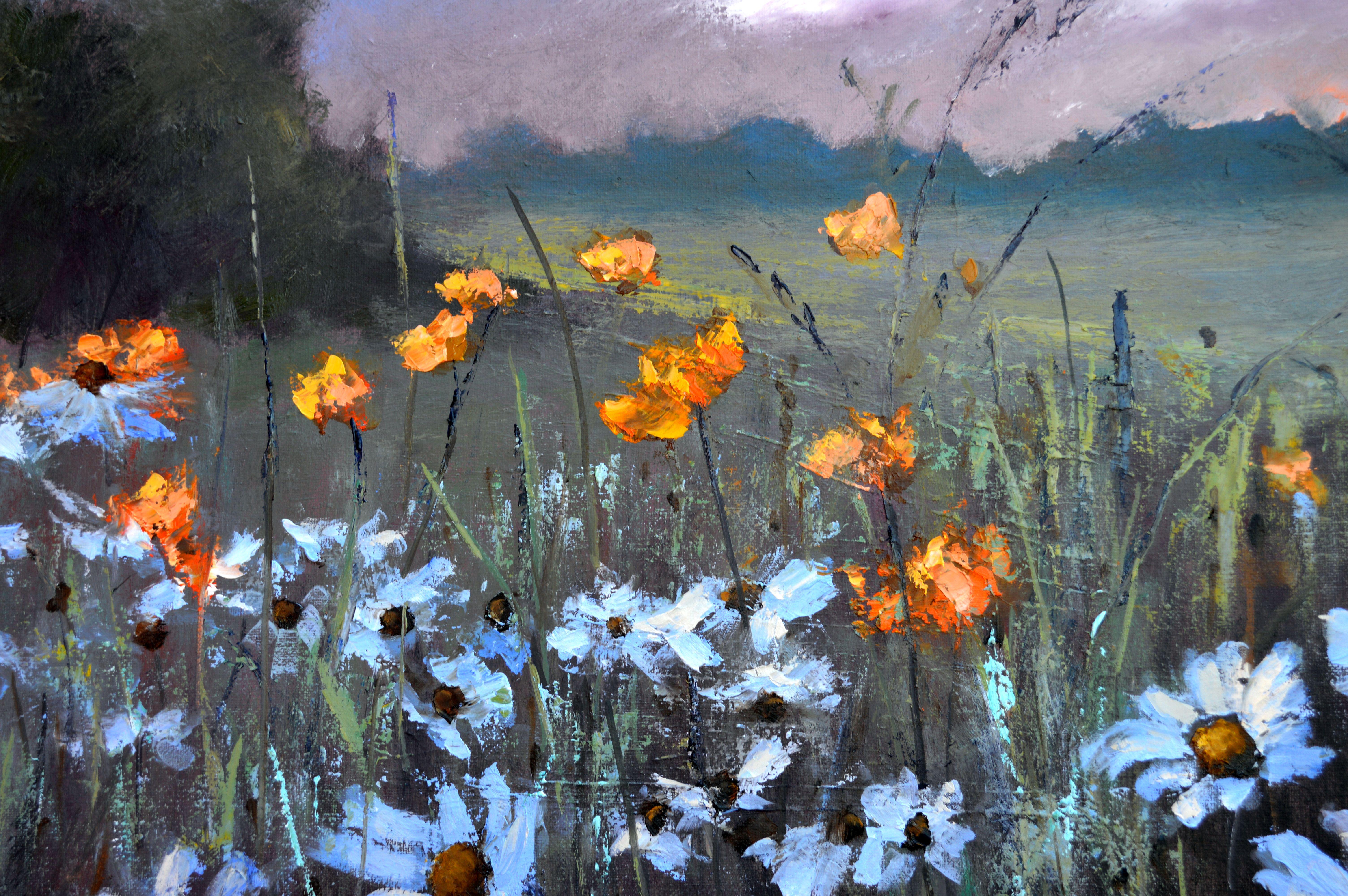 Chamomile  field 50X100 For Sale 9