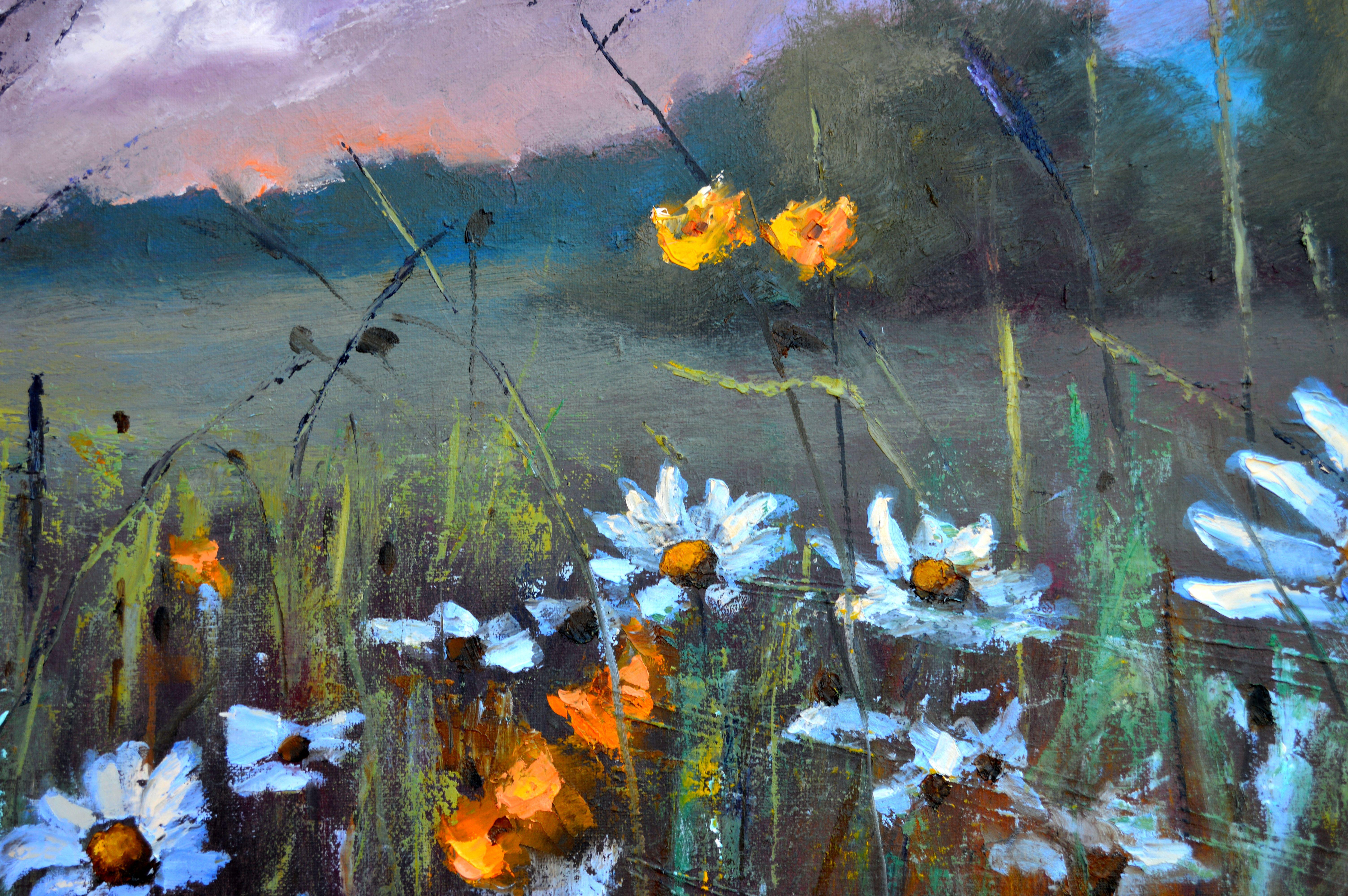 Chamomile  field 50X100 For Sale 10