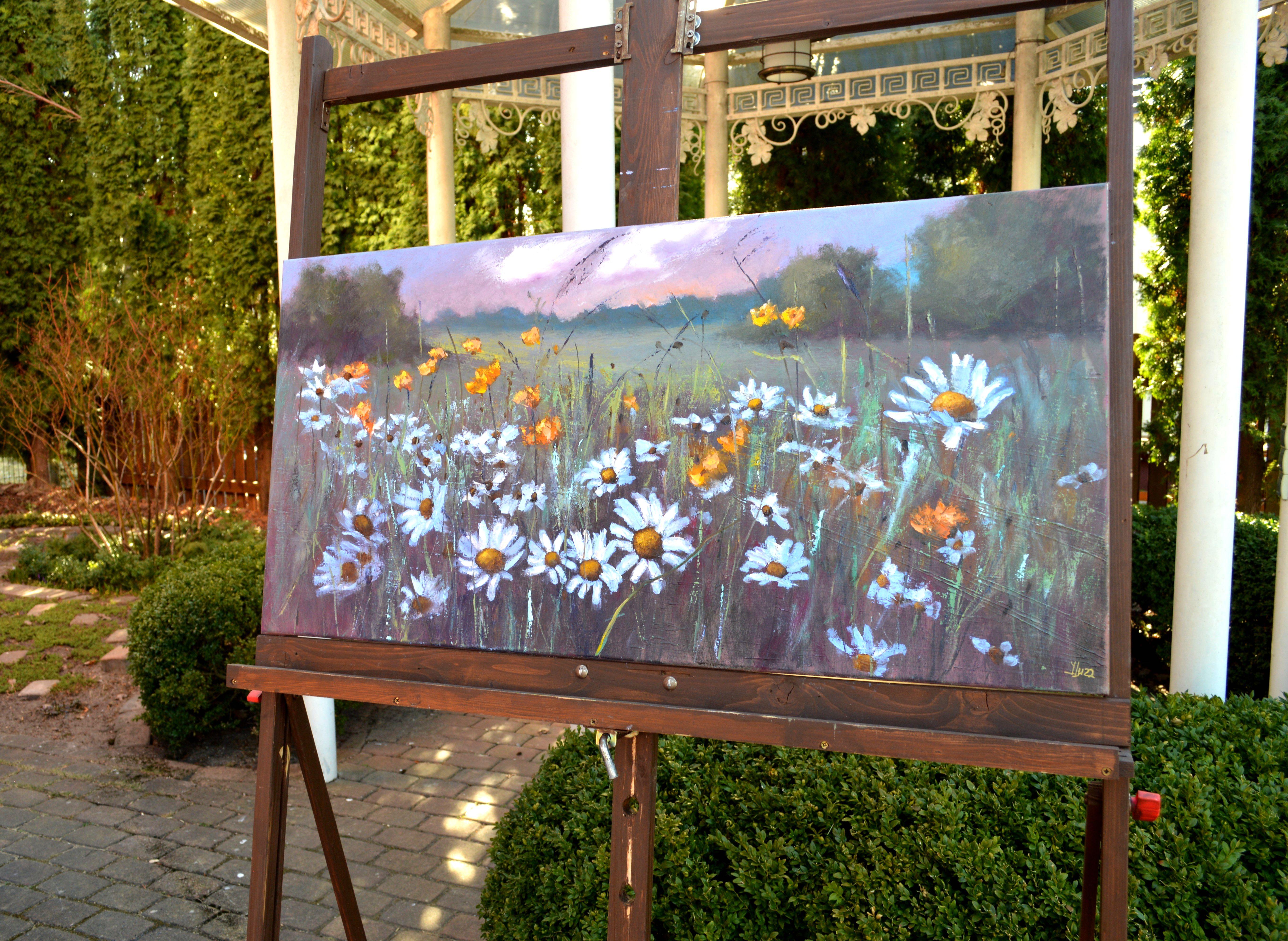 Chamomile  field 50X100 For Sale 13