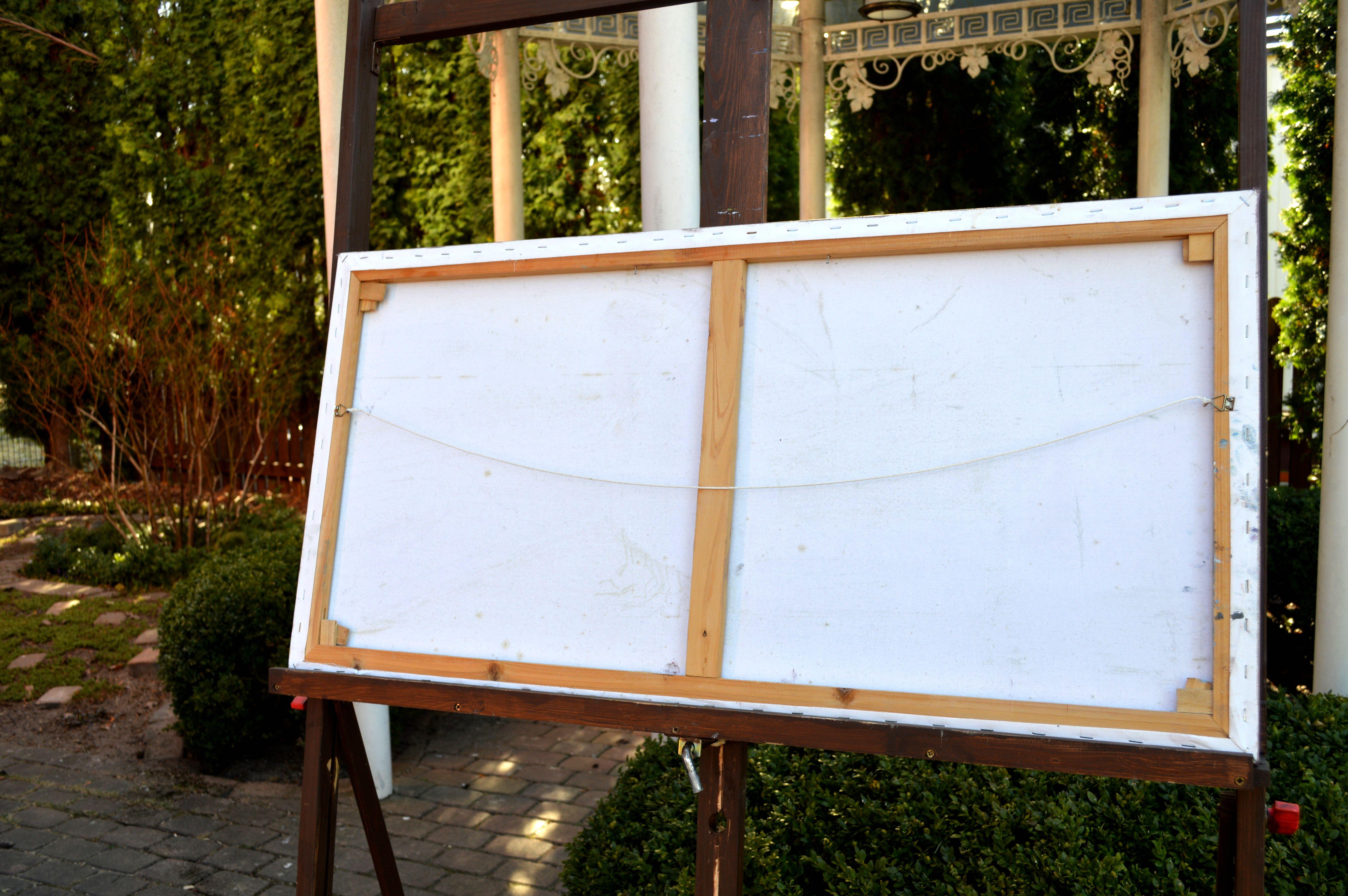 Chamomile  field 50X100 For Sale 14