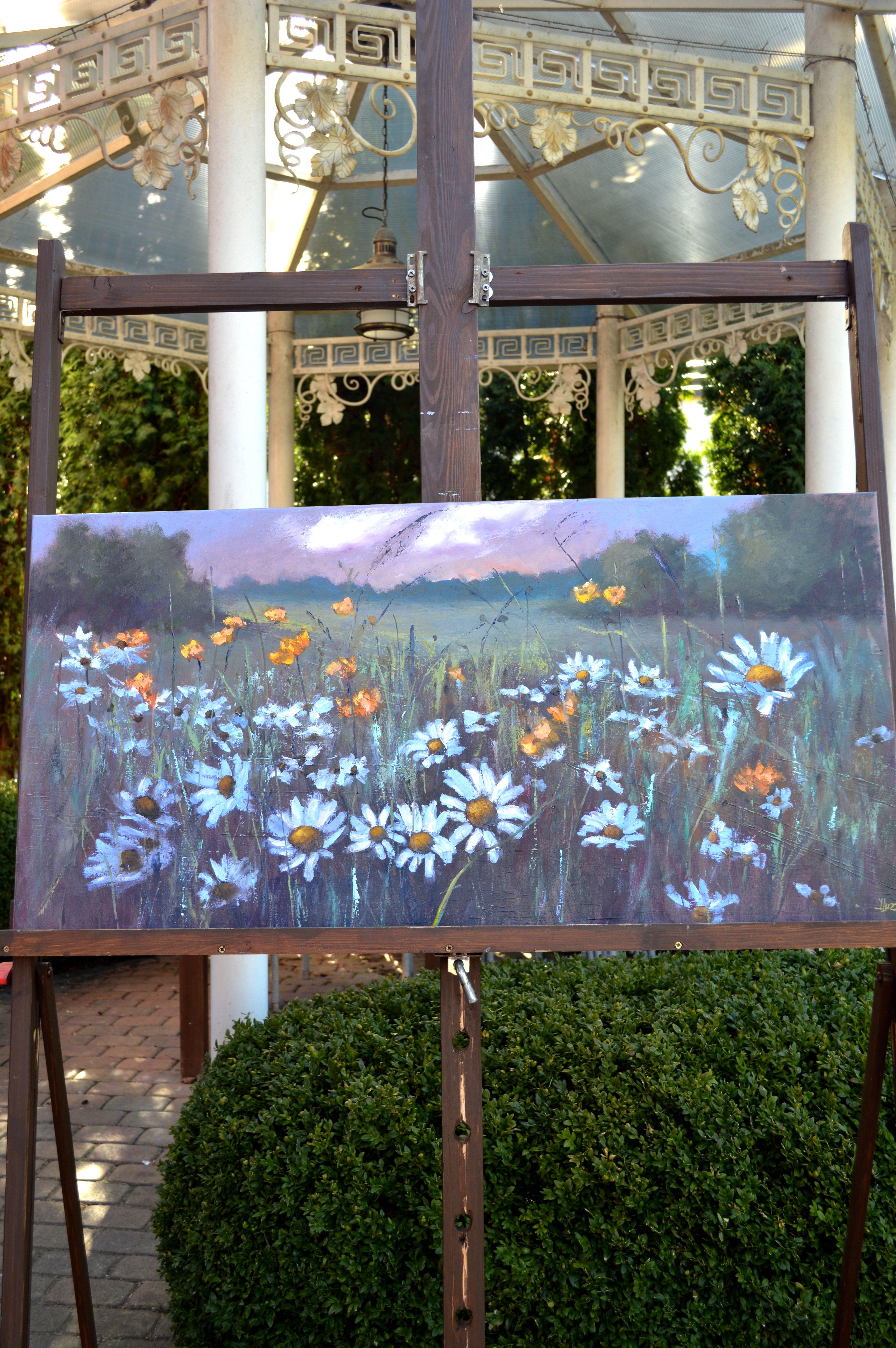 Chamomile  field 50X100 For Sale 2