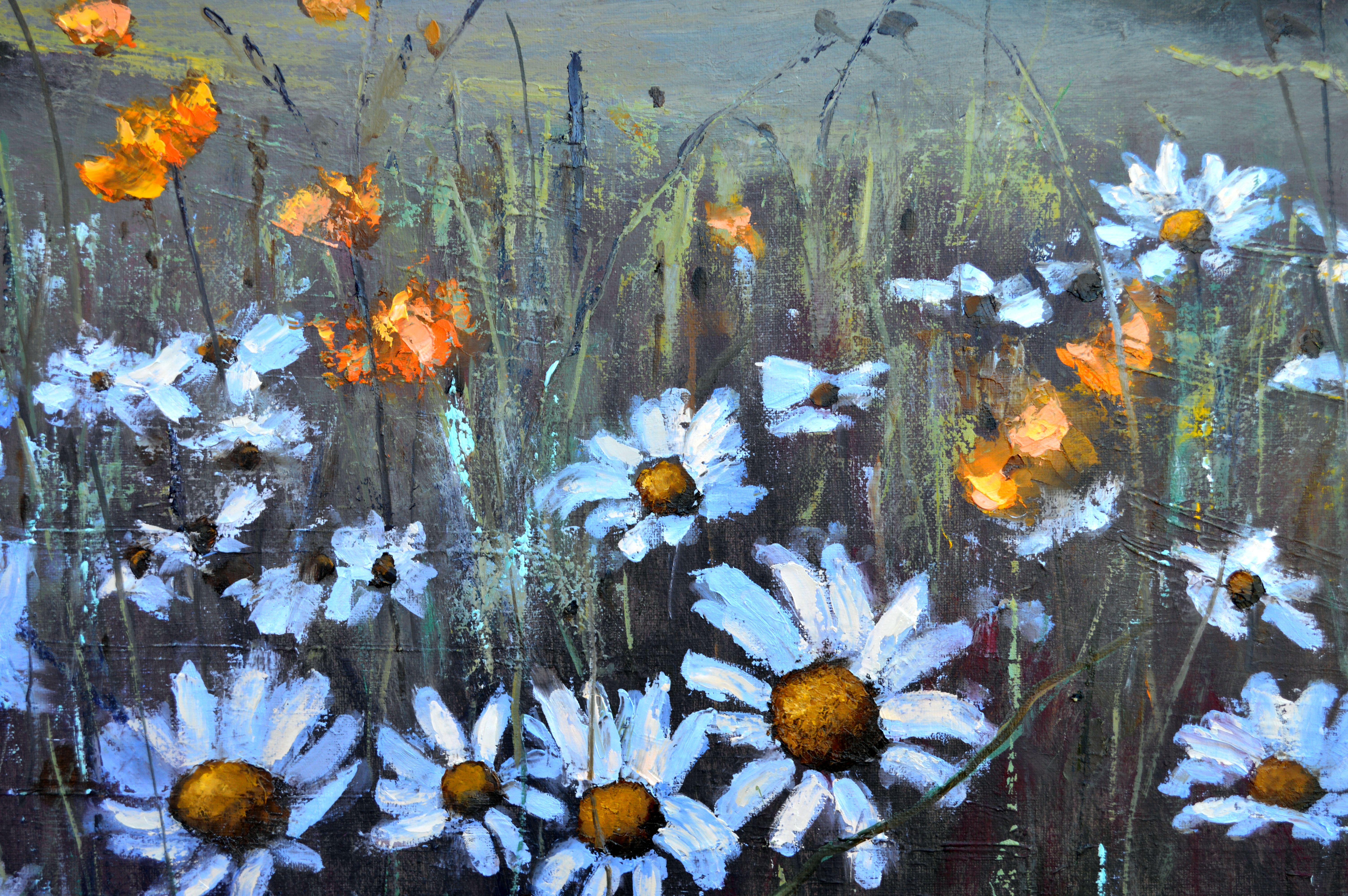 Chamomile  field 50X100 For Sale 3