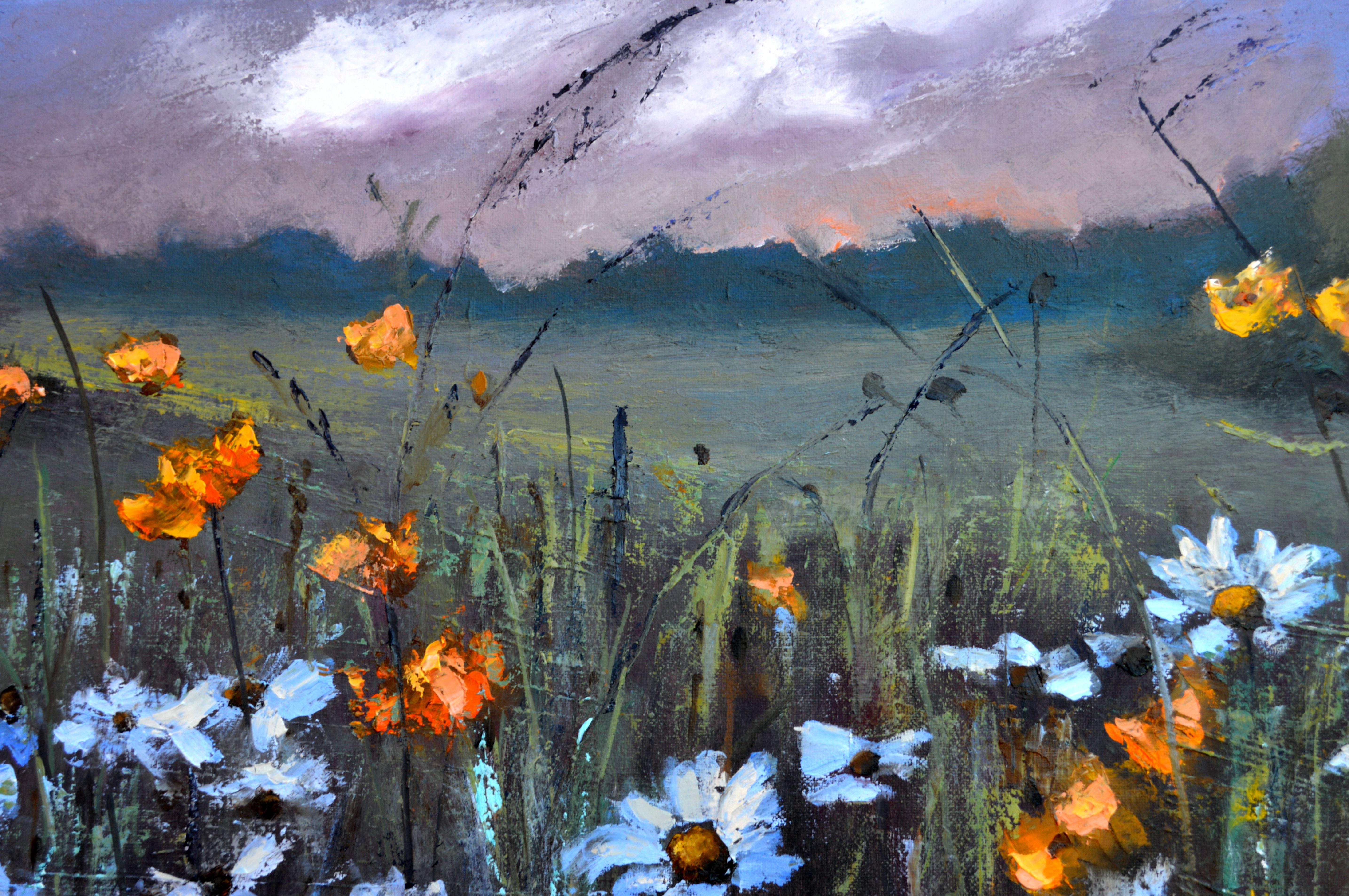 Chamomile  field 50X100 For Sale 4