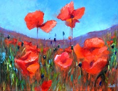 Coral poppies