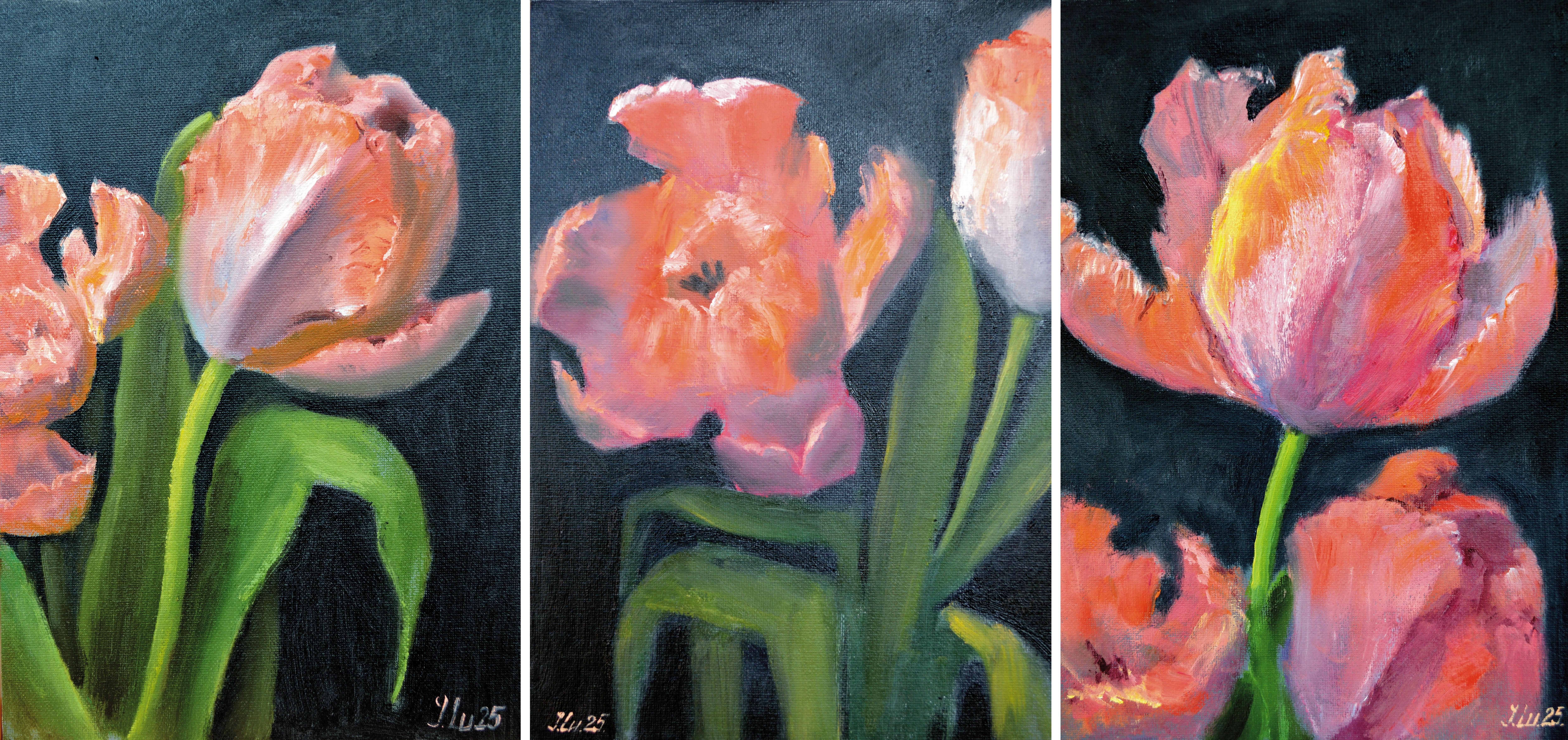 Korallen Tulpen Triptychon