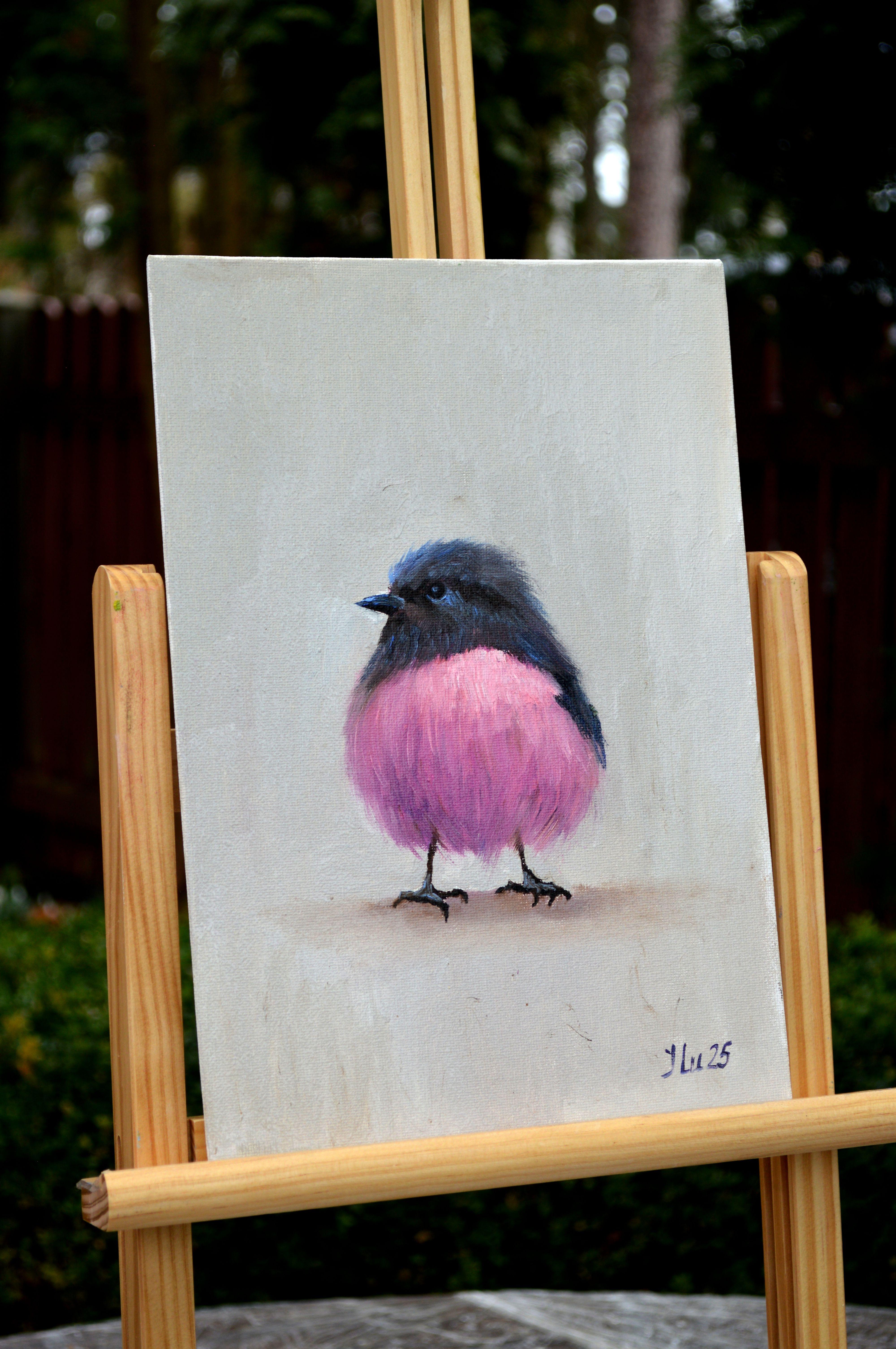 Crimson-gebreiteten Petroica, australische Bullfinch. 2