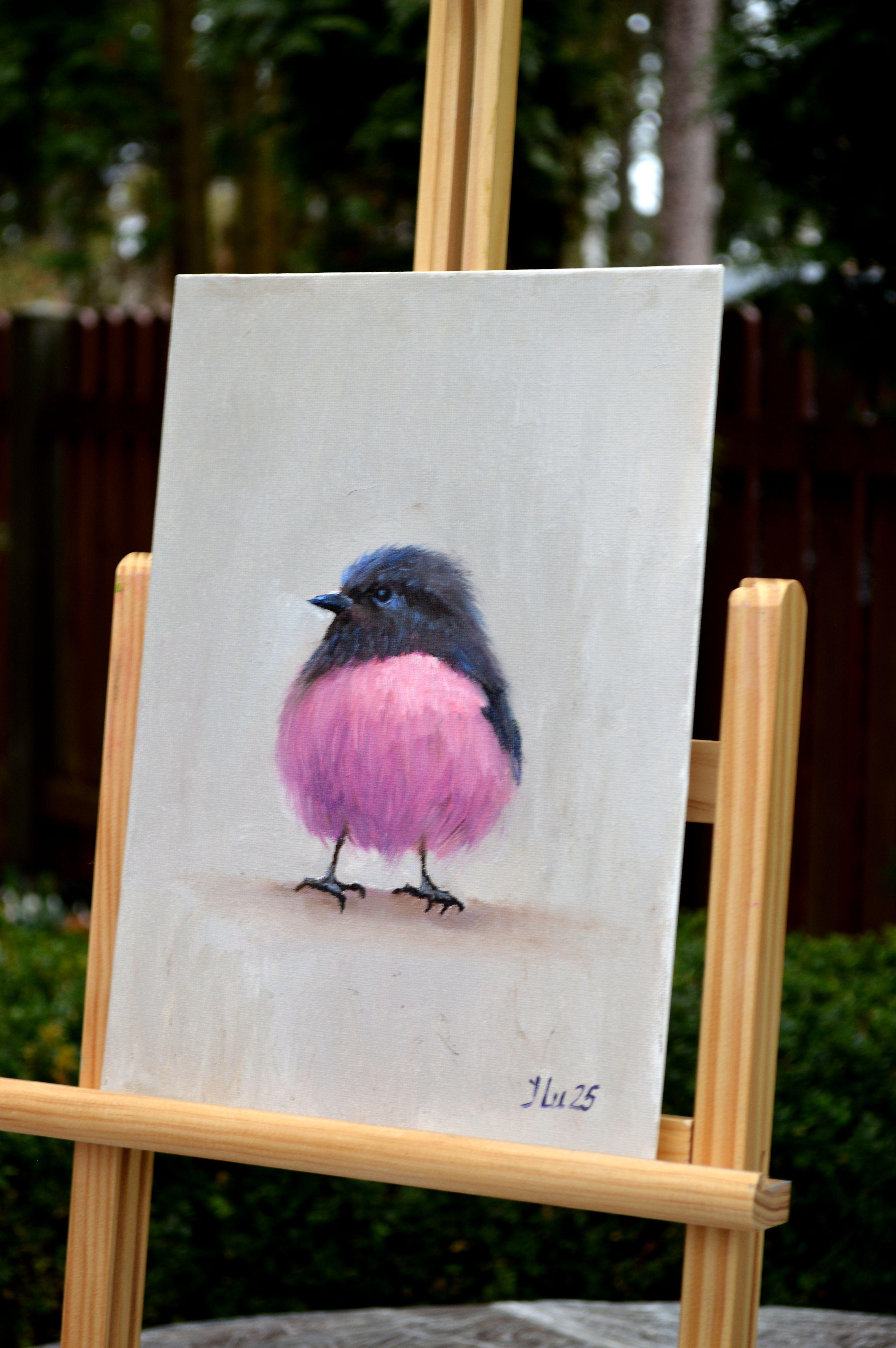 Crimson-gebreiteten Petroica, australische Bullfinch. 3