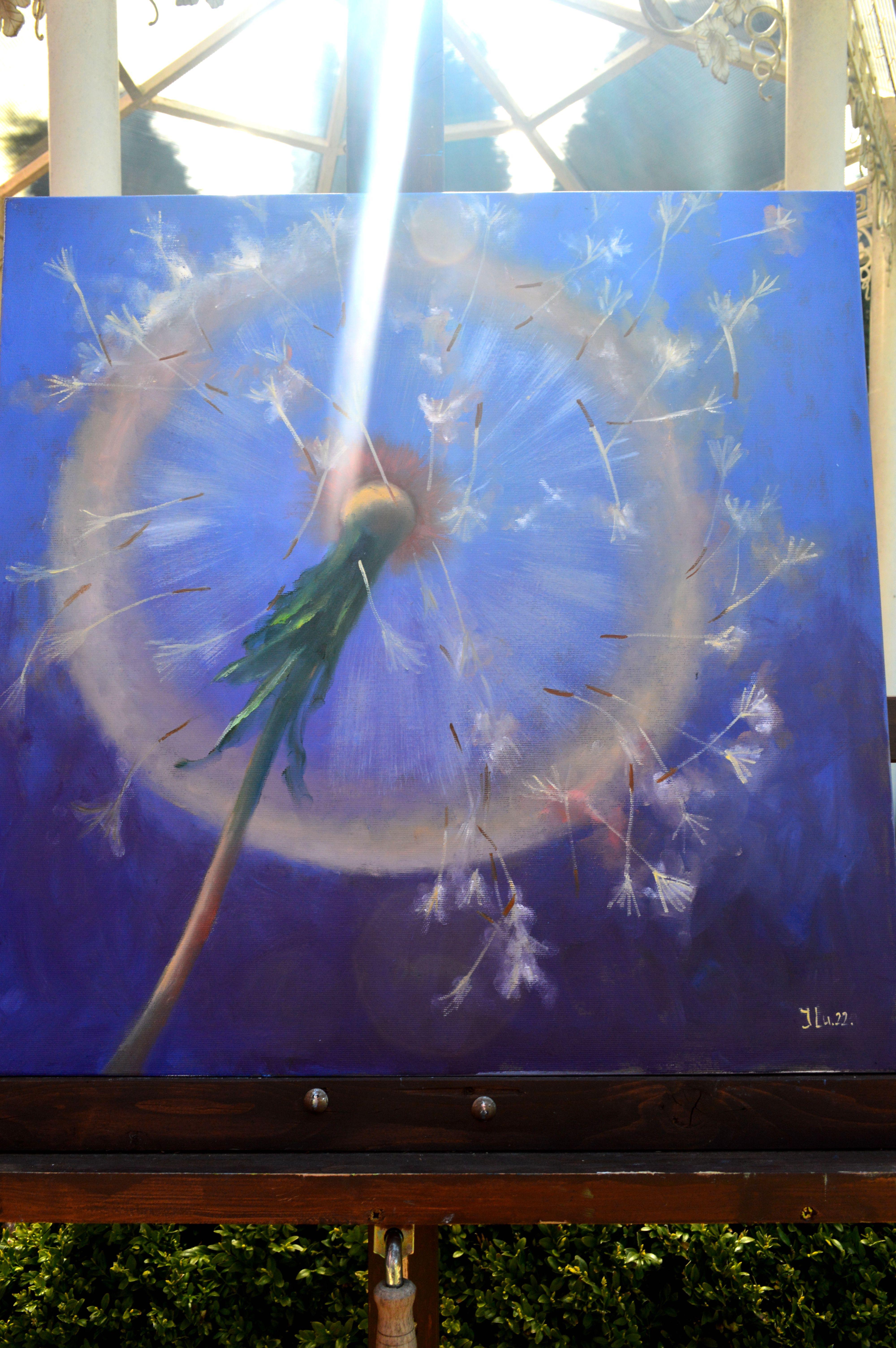 Dandelions in flight 60X60 For Sale 4