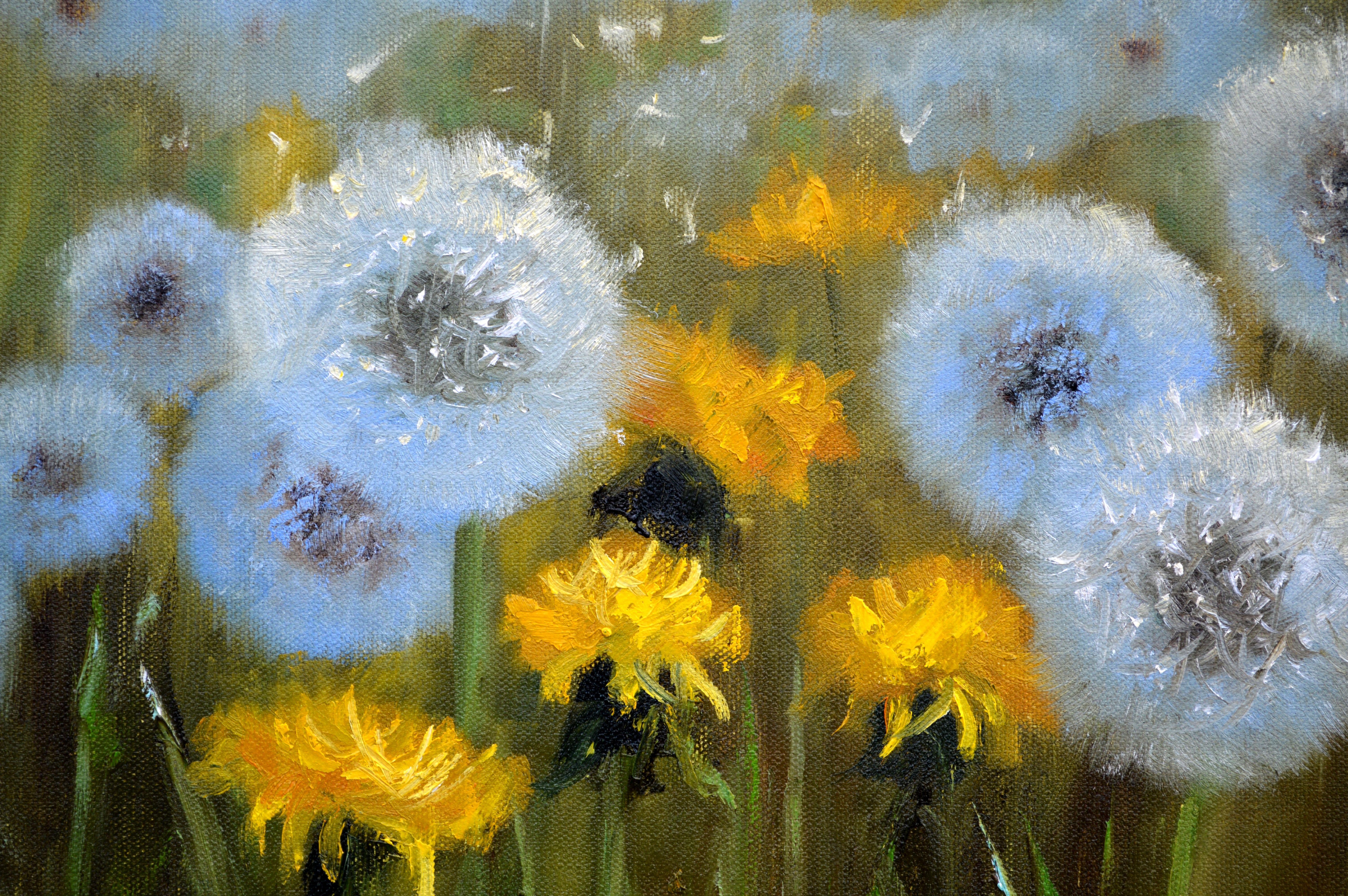 Delicate dandelions 30X40 For Sale 8