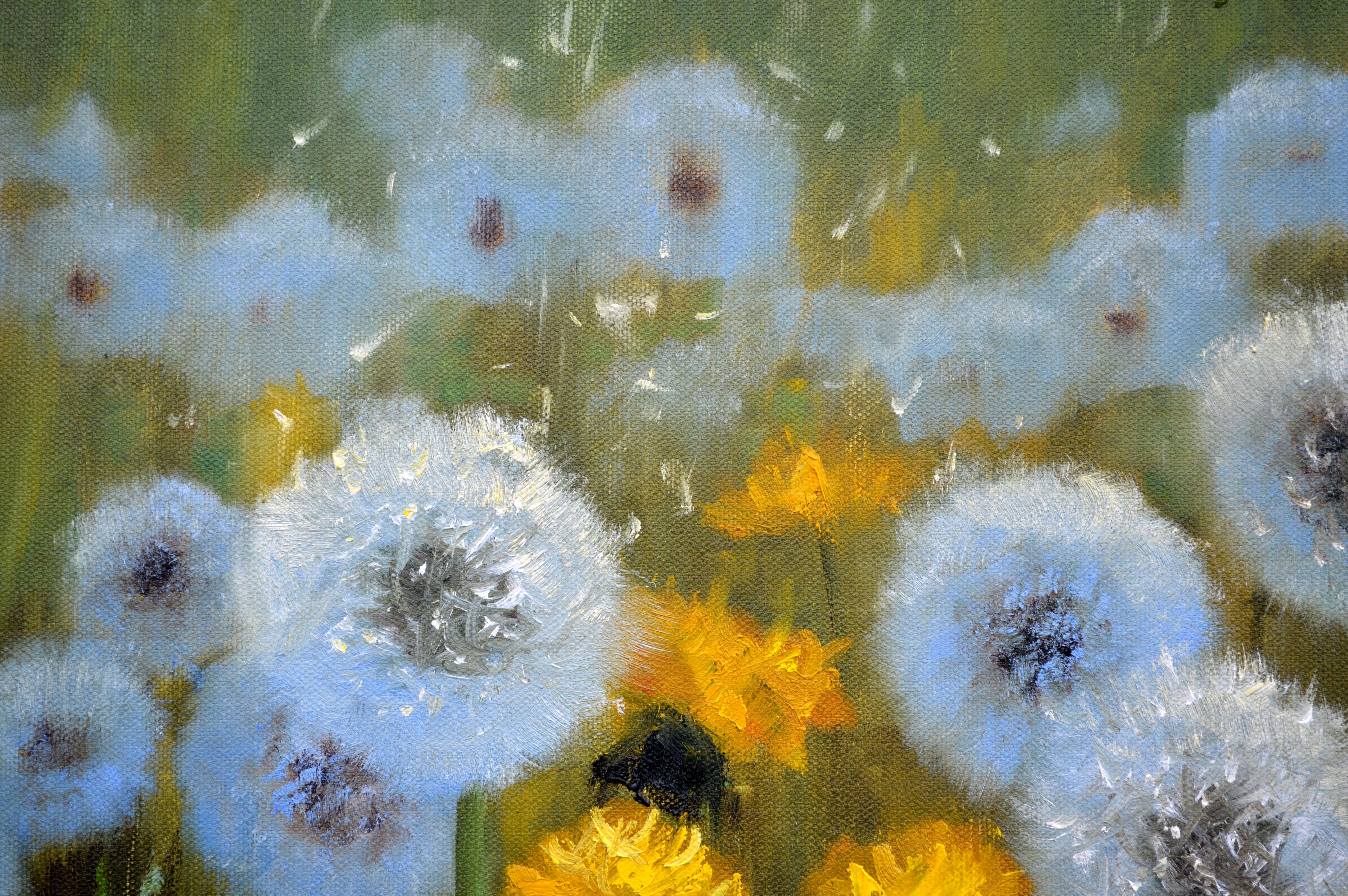Delicate dandelions 30X40 For Sale 9