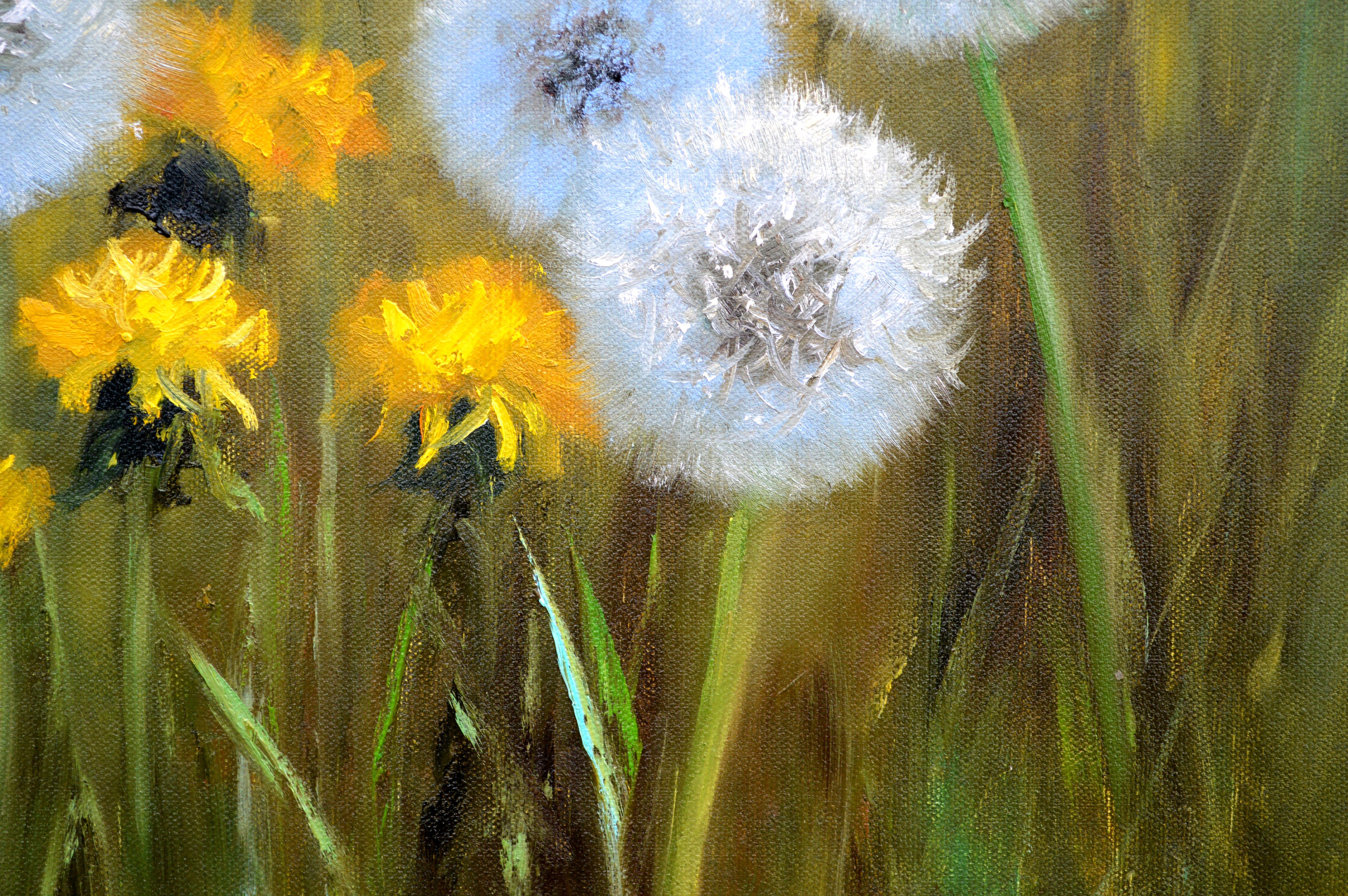 Delicate dandelions 30X40 For Sale 11